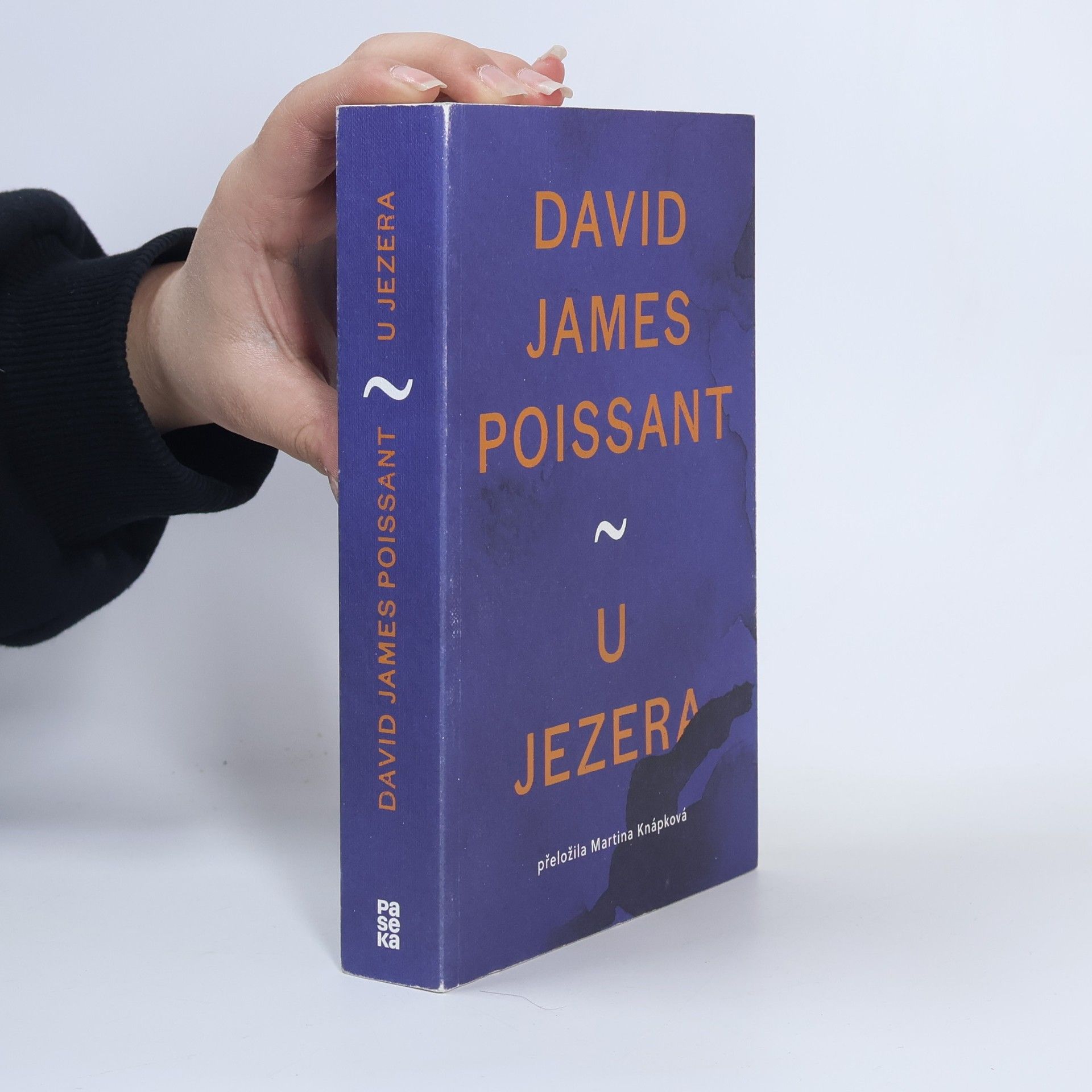 David James Poissant U jezera