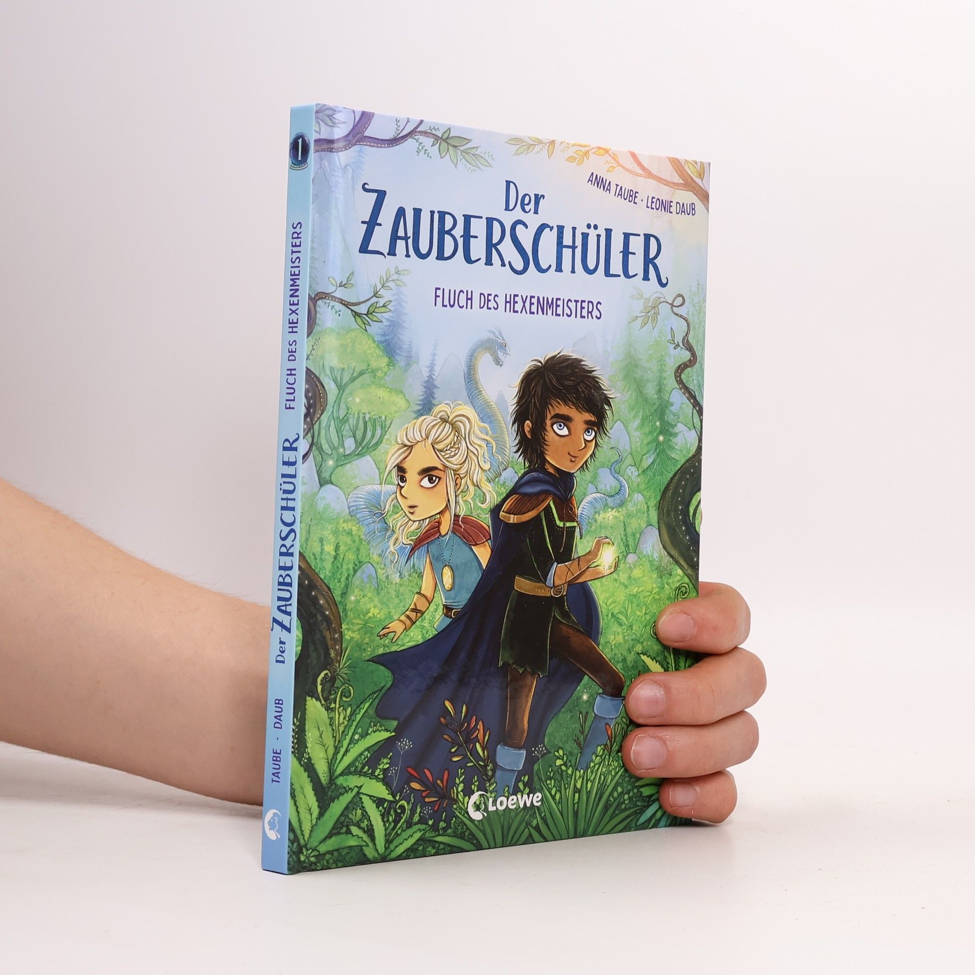 Anna Taube Der Zauberschüler. Fluch des Hexenmeisters