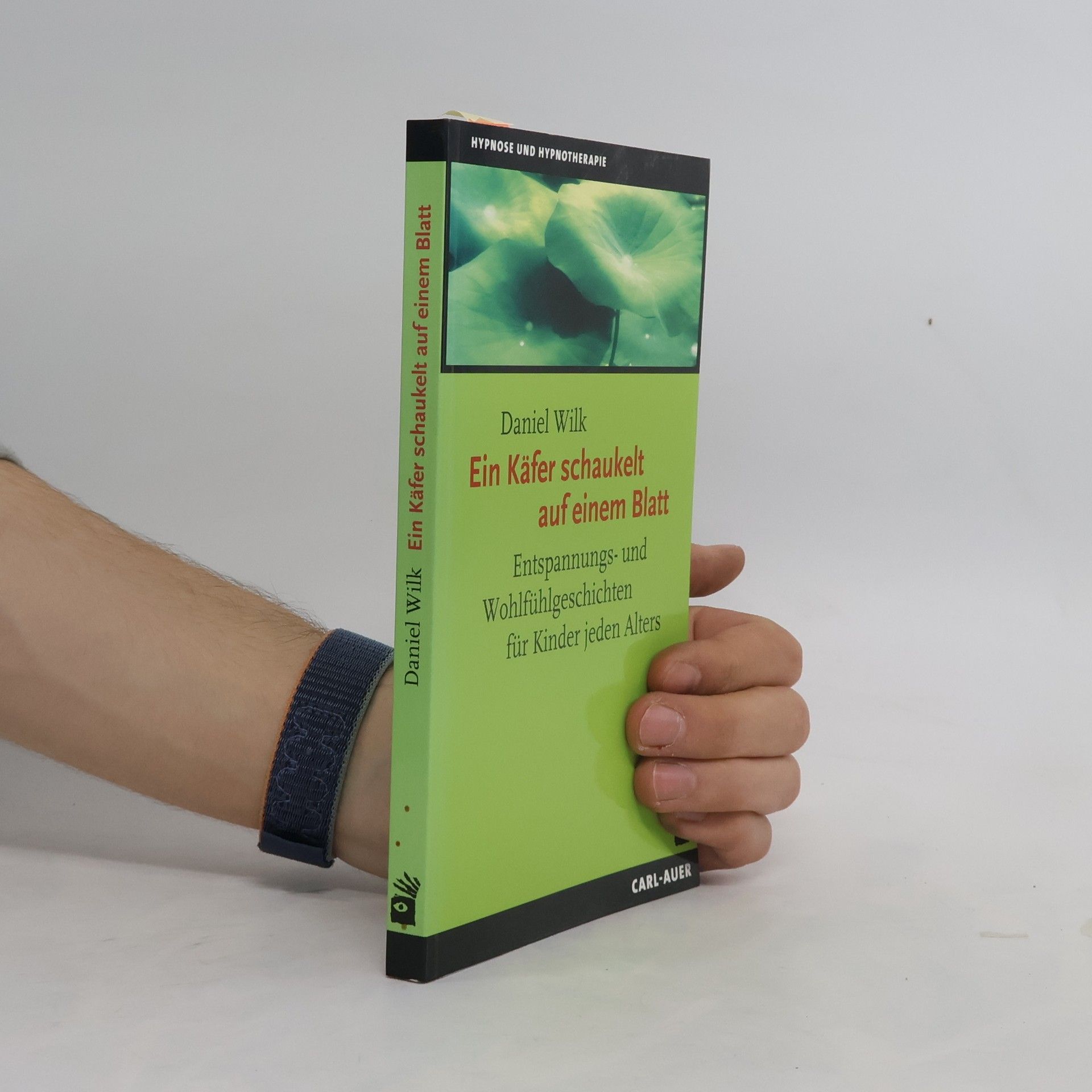 Daniel Wilk Ein Käfer schaukelt auf einem Blatt