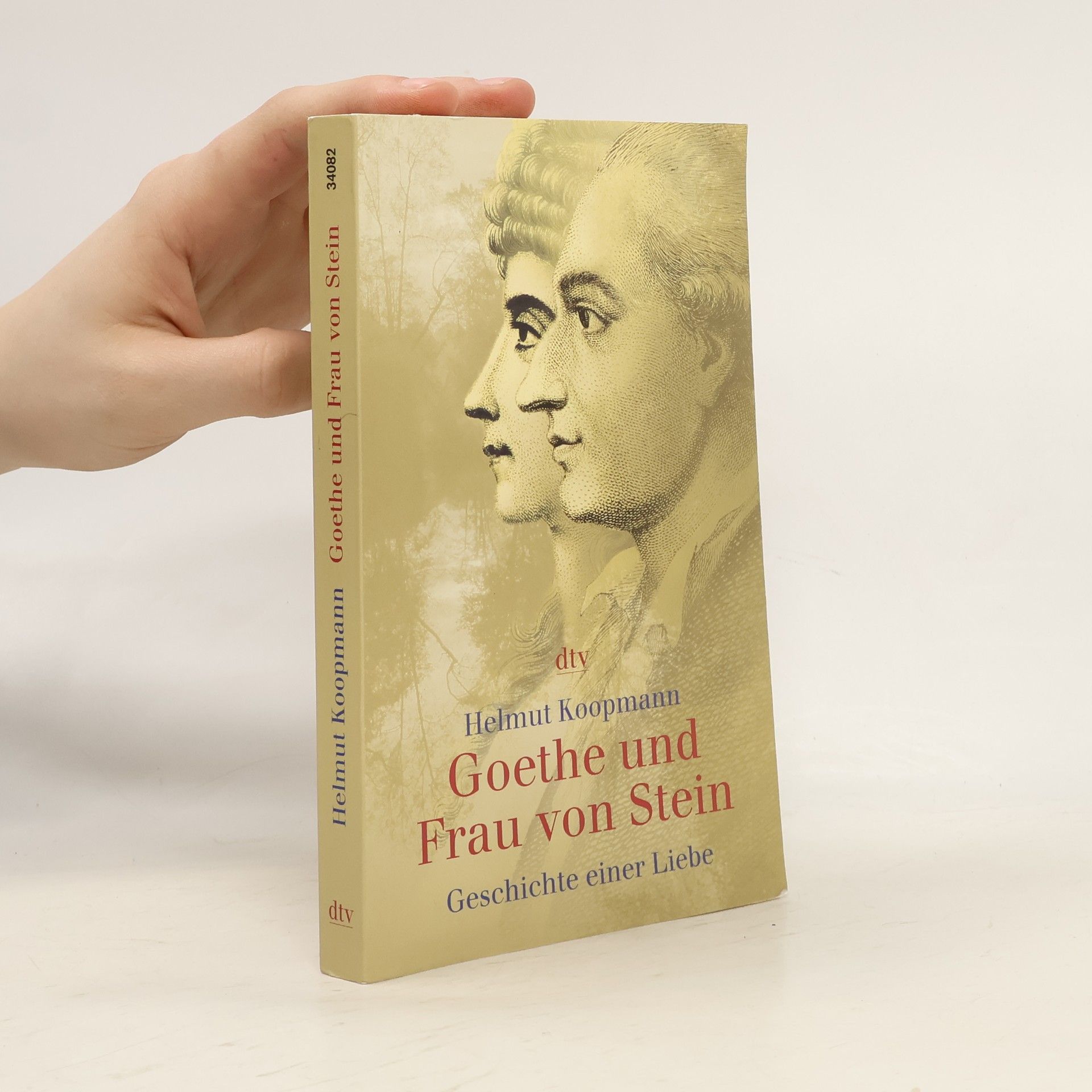 Helmut Koopmann Goethe und Frau von Stein