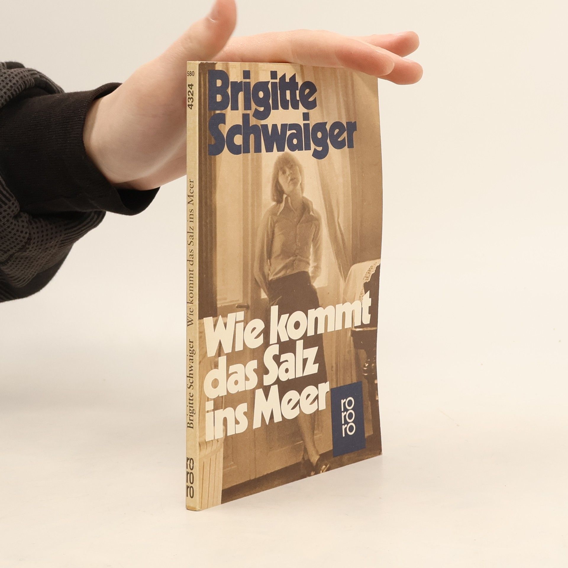 Brigitte Schwaiger Wie kommt das Salz ins Meer