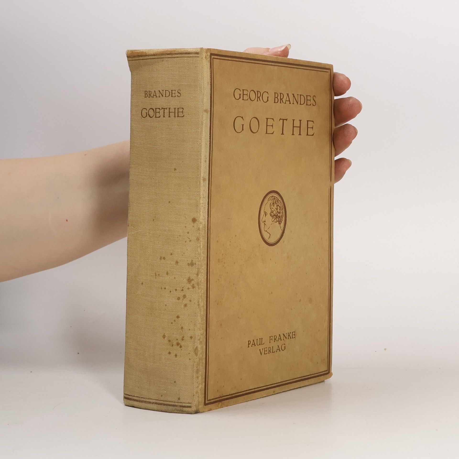 Georg Brandes Goethe