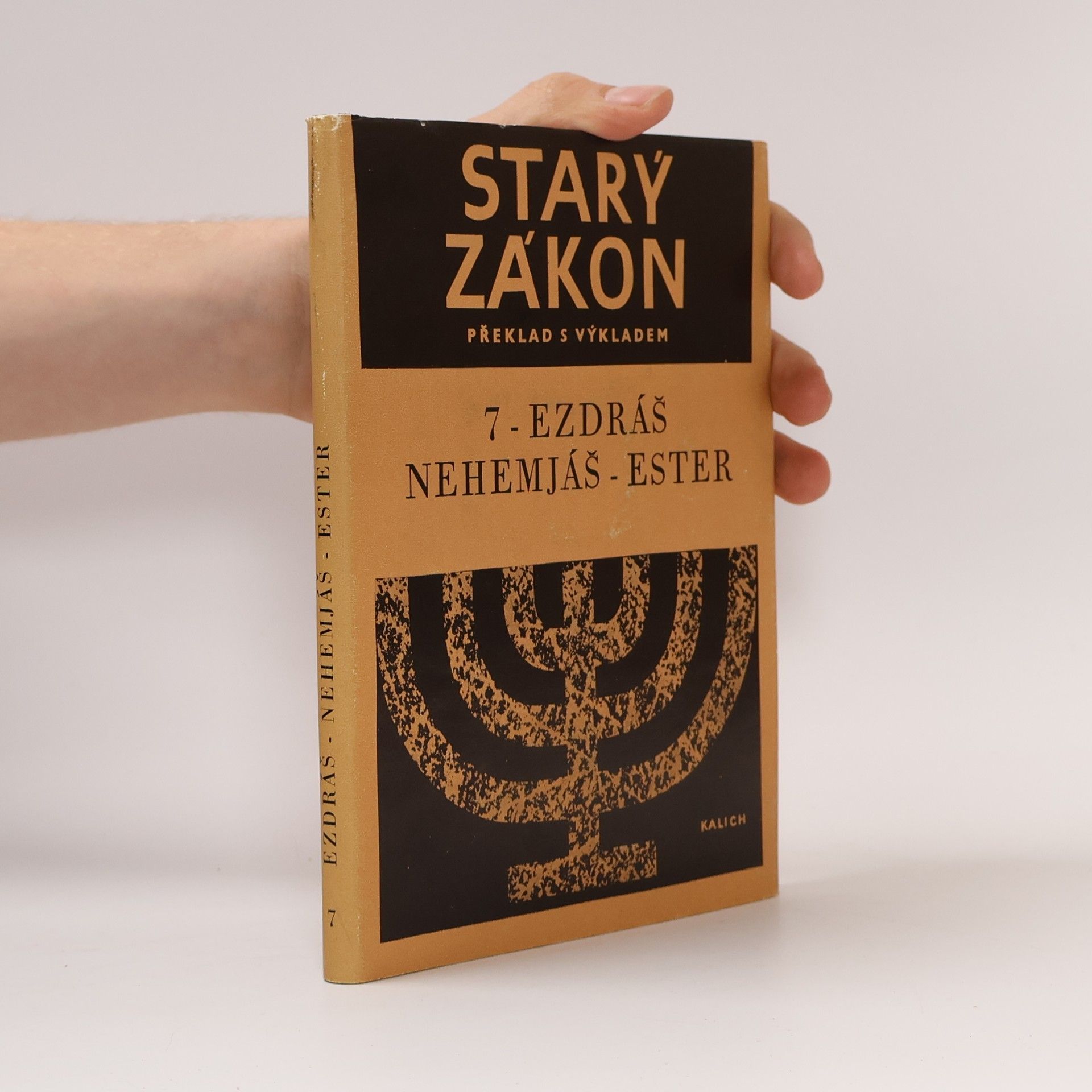 Kolektiv autorů Starý zákon 7. Ezdráš, Nehemjáš, Ester