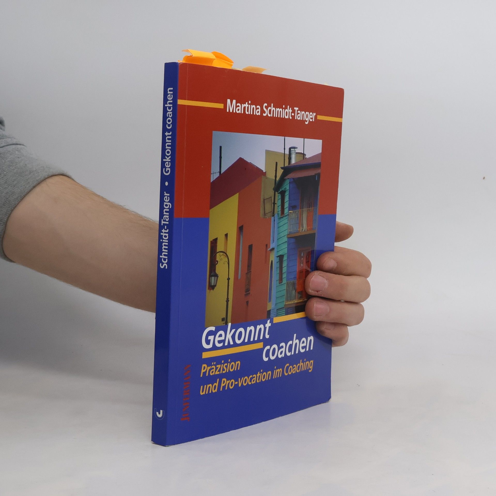 Martina Schmidt-Tanger Gekonnt coachen