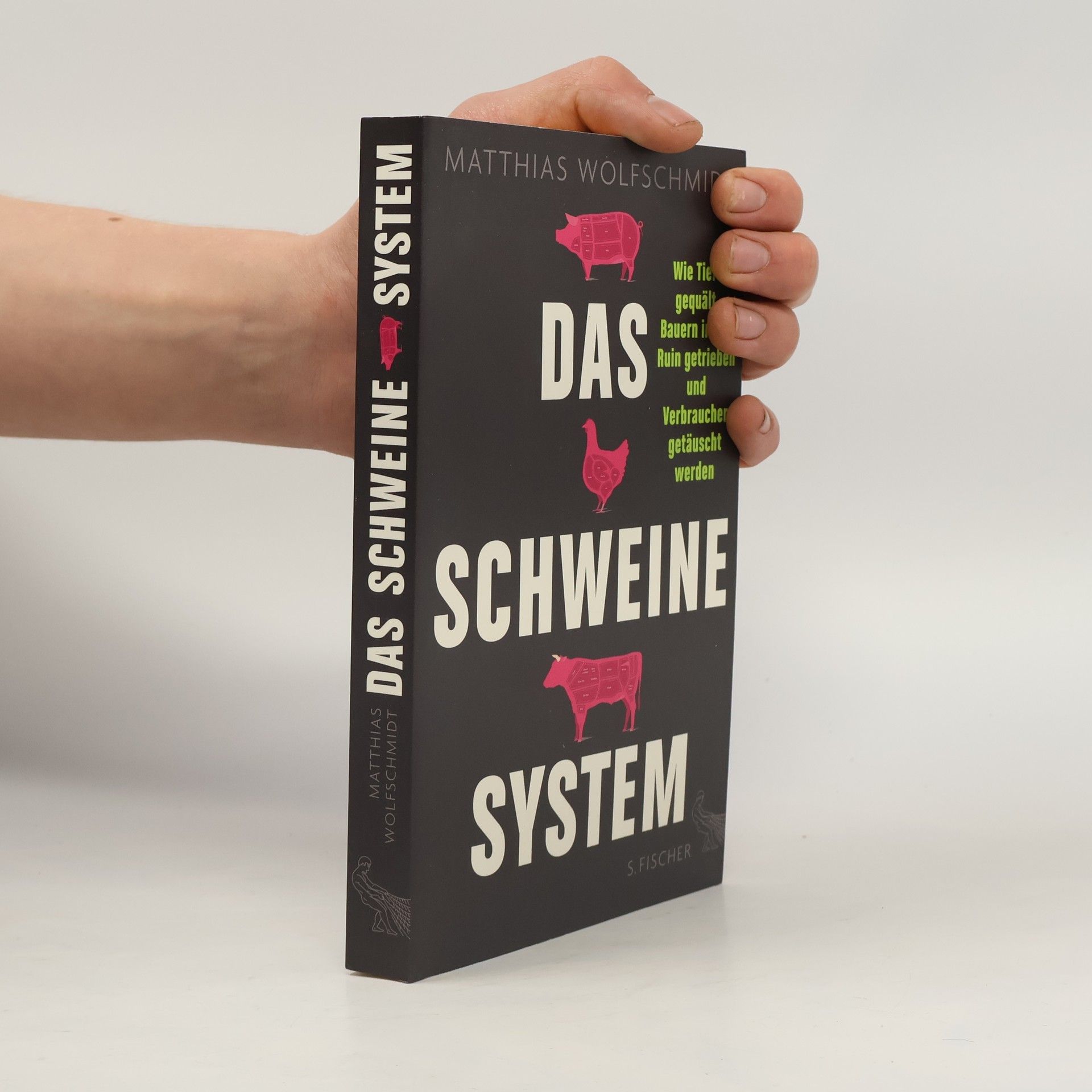 Matthias Wolfschmidt Das Schweinesystem