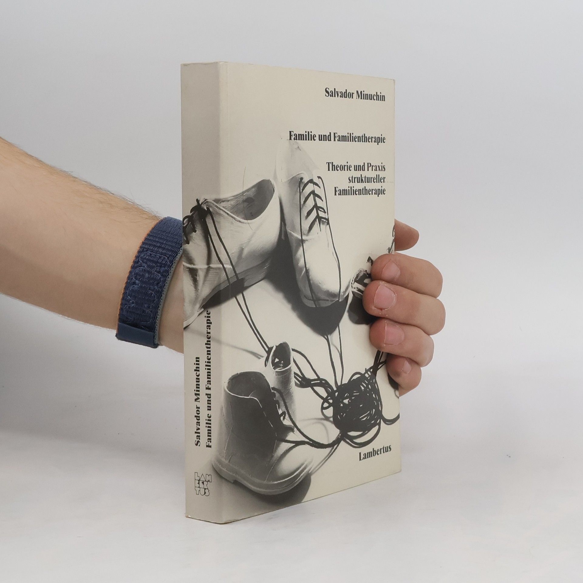 Salvador Minuchin Familie und Familientherapie