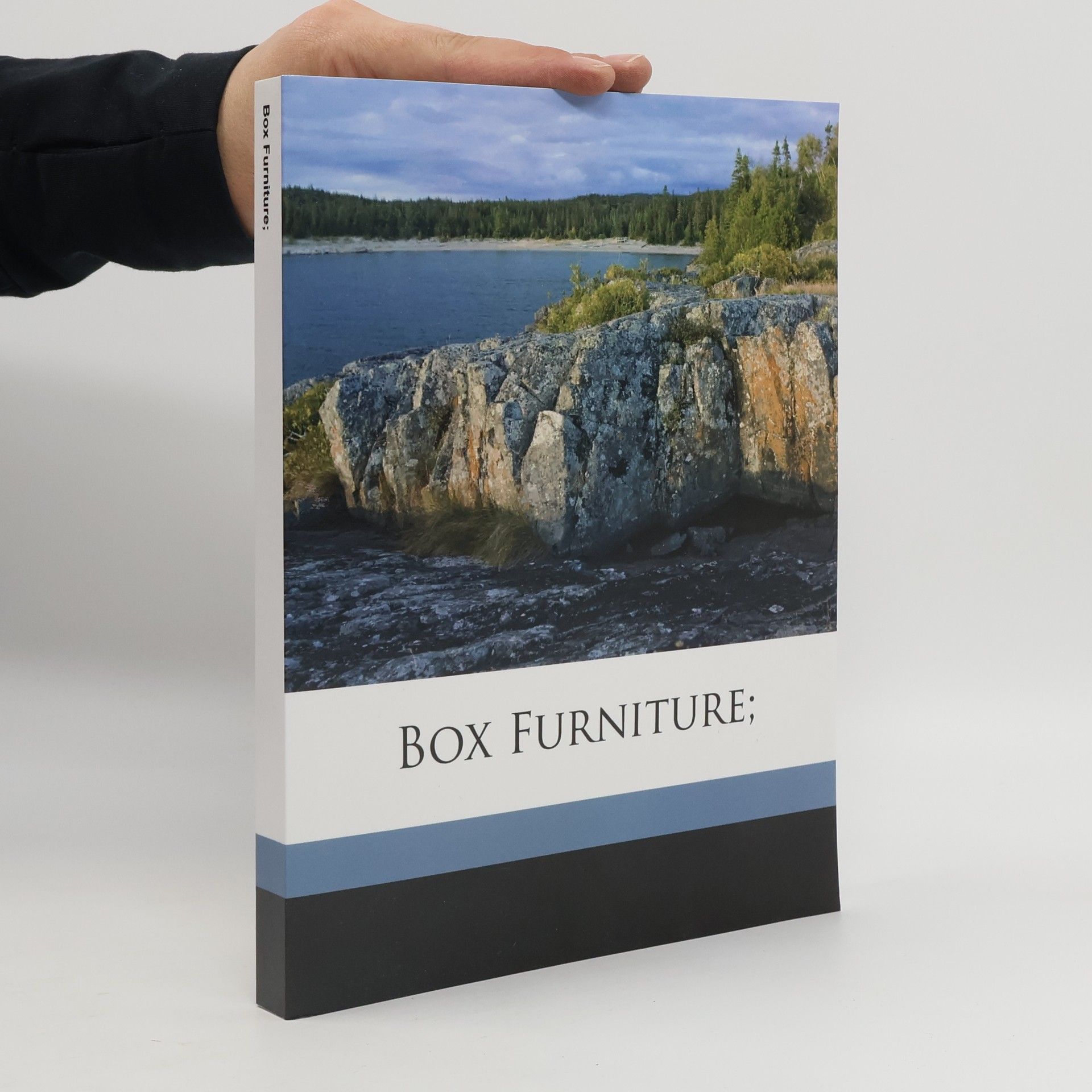 Louise Brigham Box Furniture;