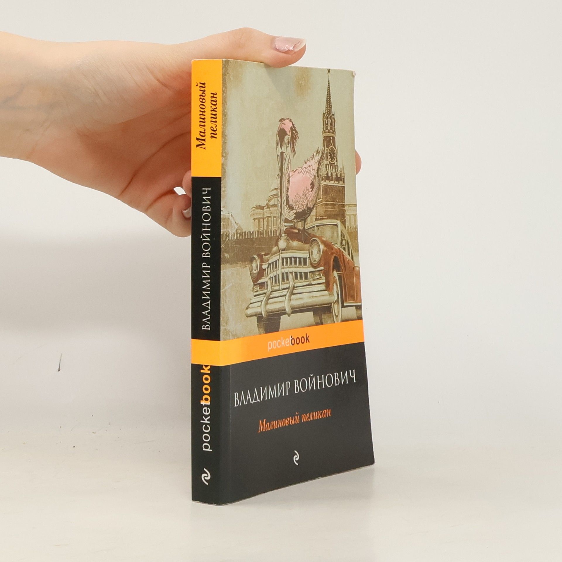 Малиновый пеликан. Malinovyy pelikan