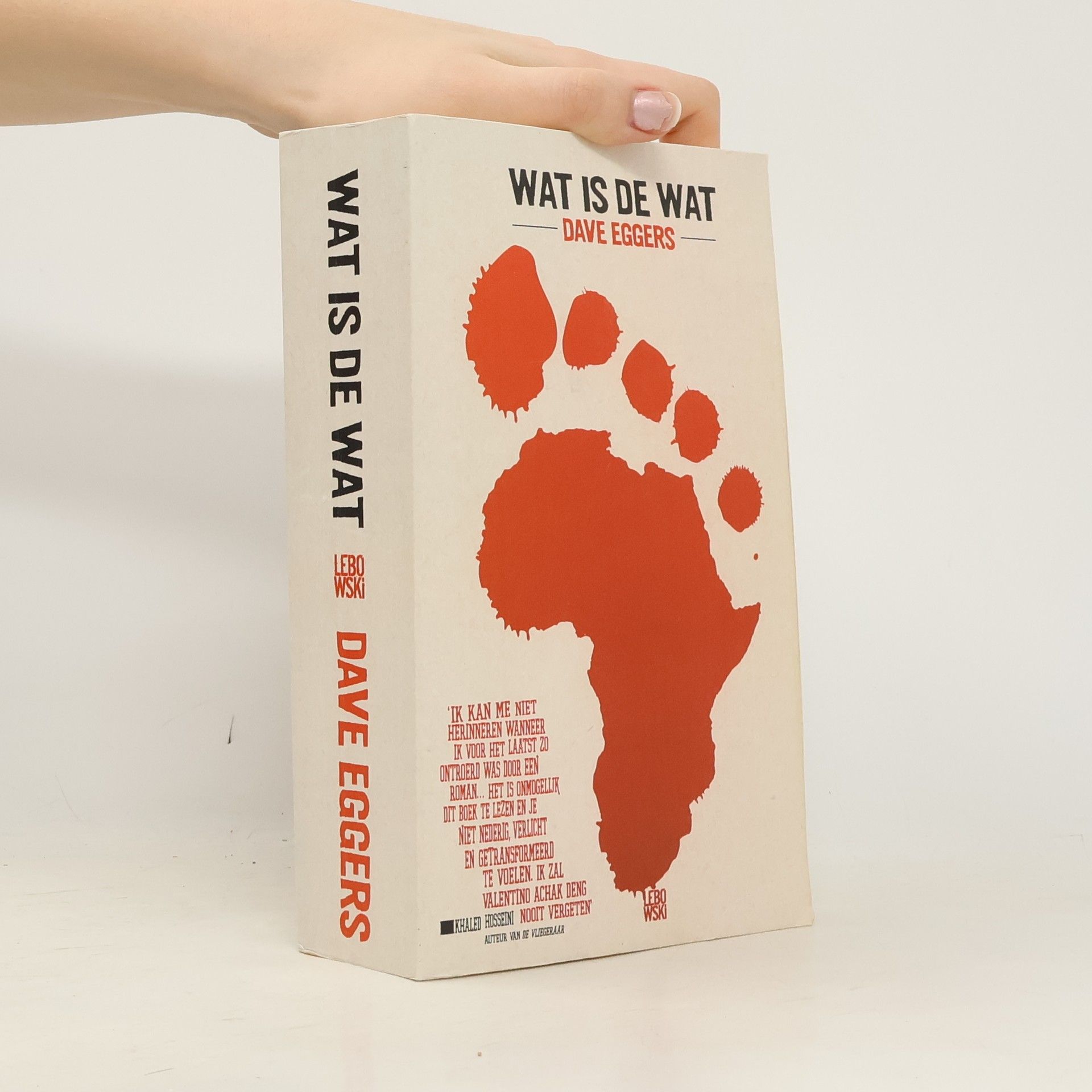 Dave Eggers Wat is de wat