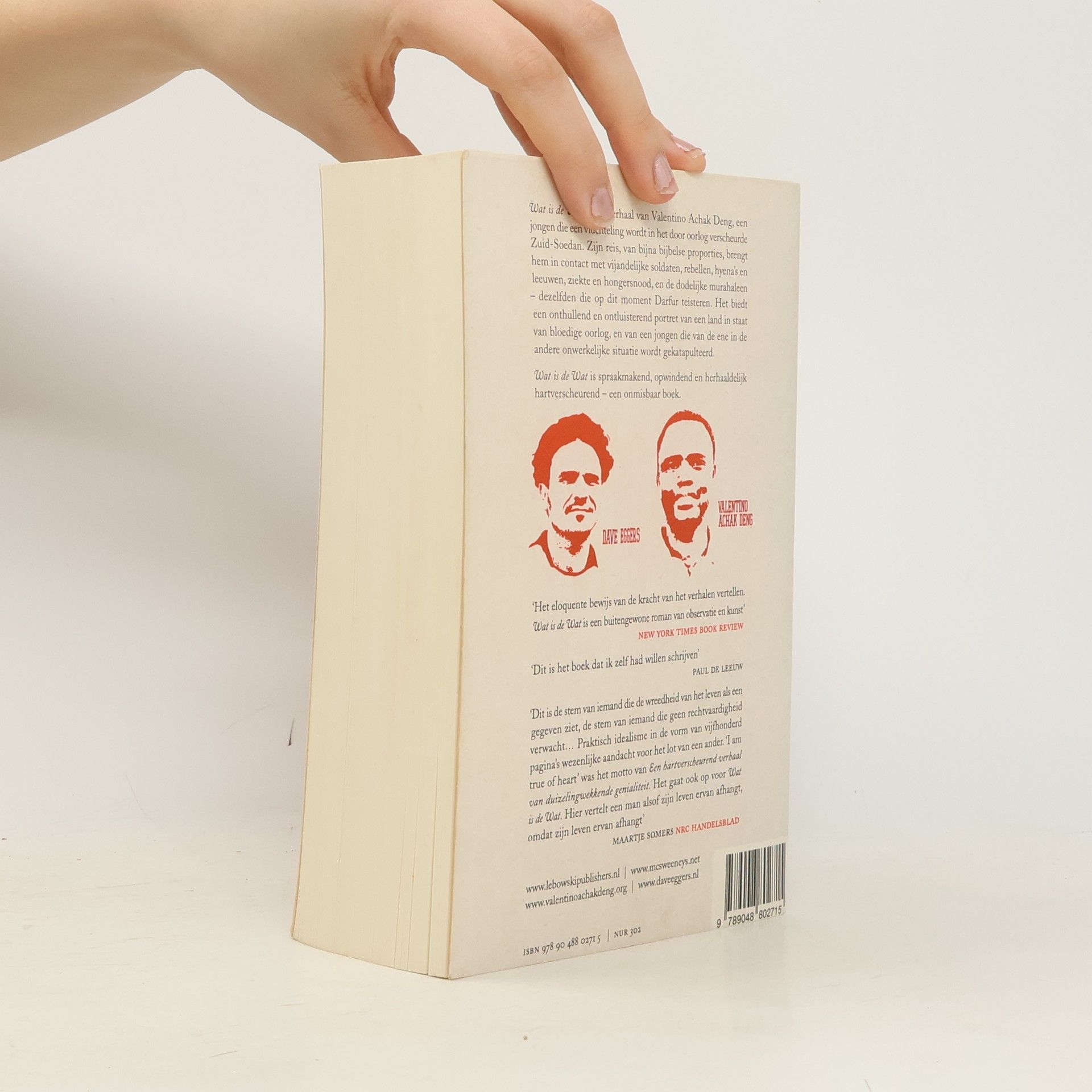 Dave Eggers Wat is de wat