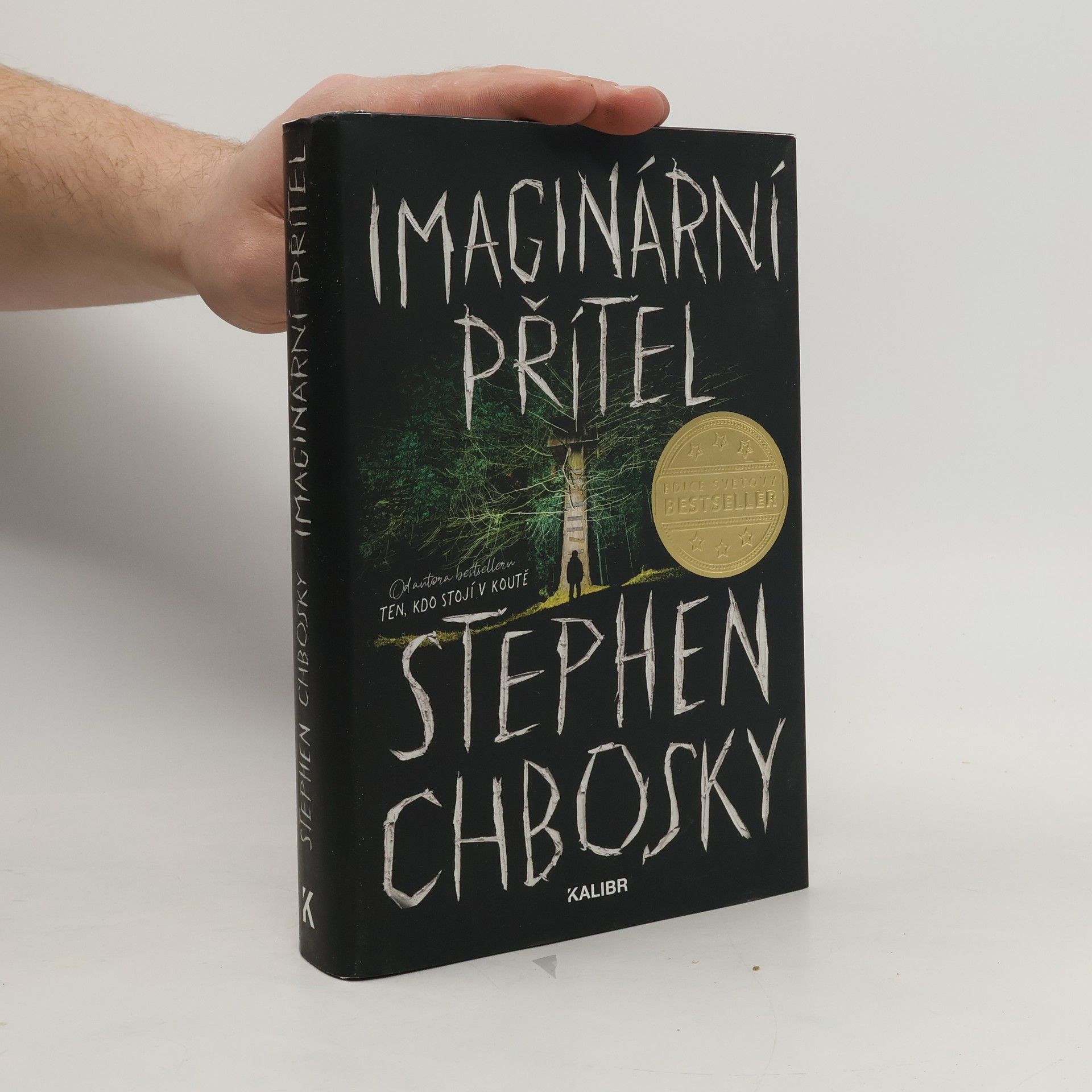 Stephen Chbosky Imaginární přítel