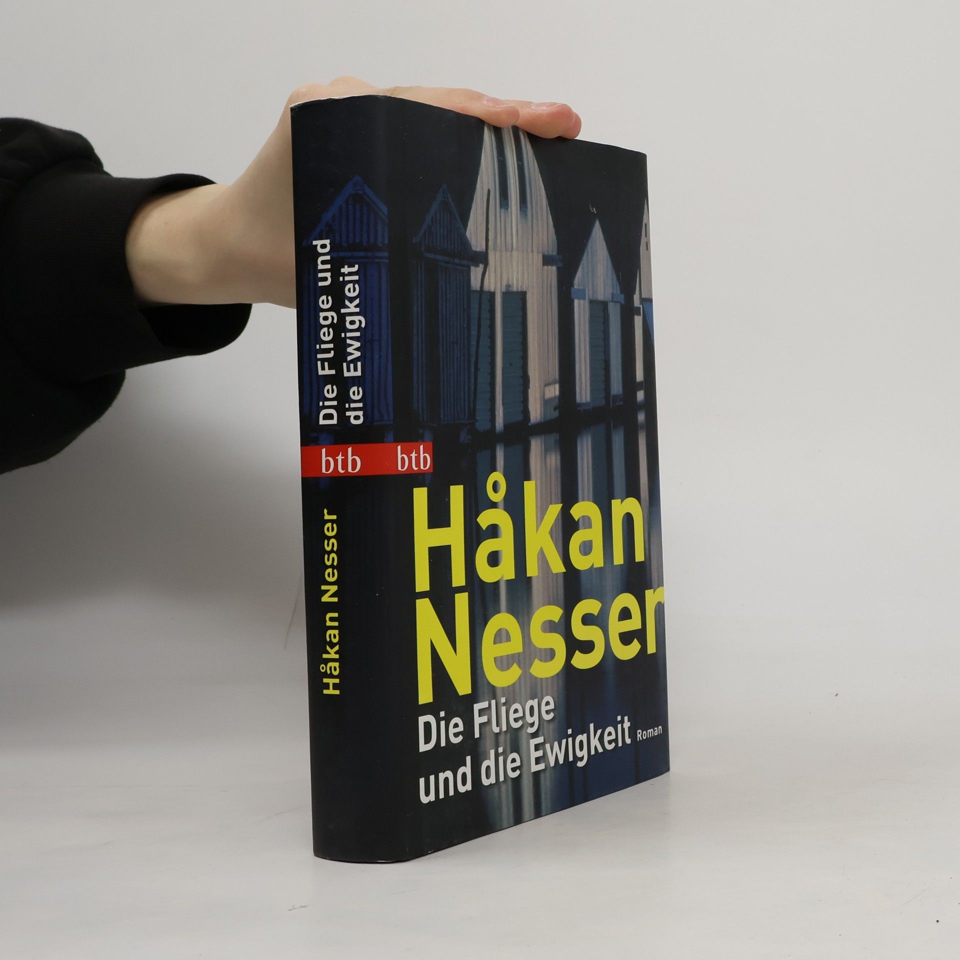 Håkan Nesser Die Fliege und die Ewigkeit