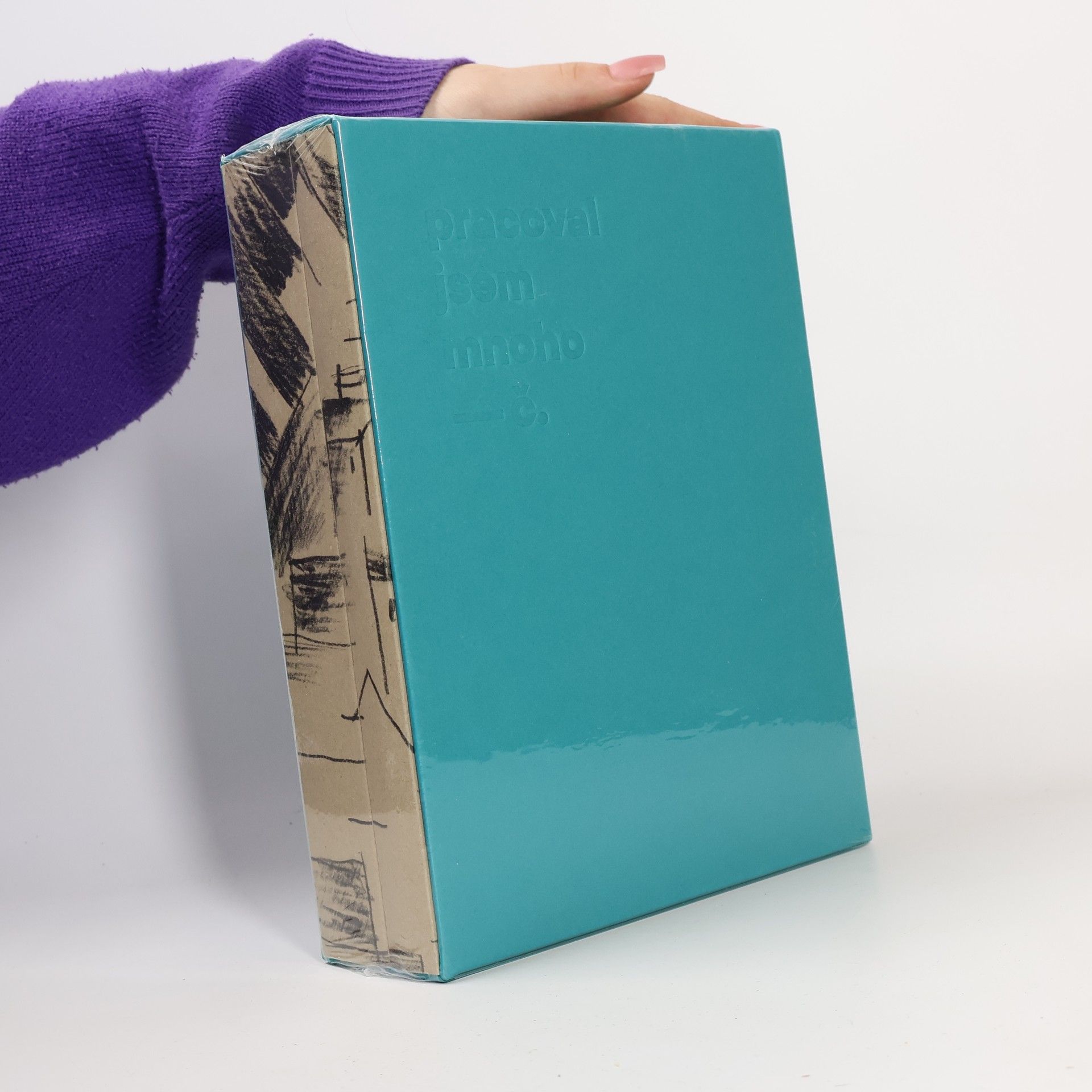 Pavla Pečinková Pracoval jsem mnoho - Soupis výtvarného díla Josefa Čapka: Díl první: Kresba