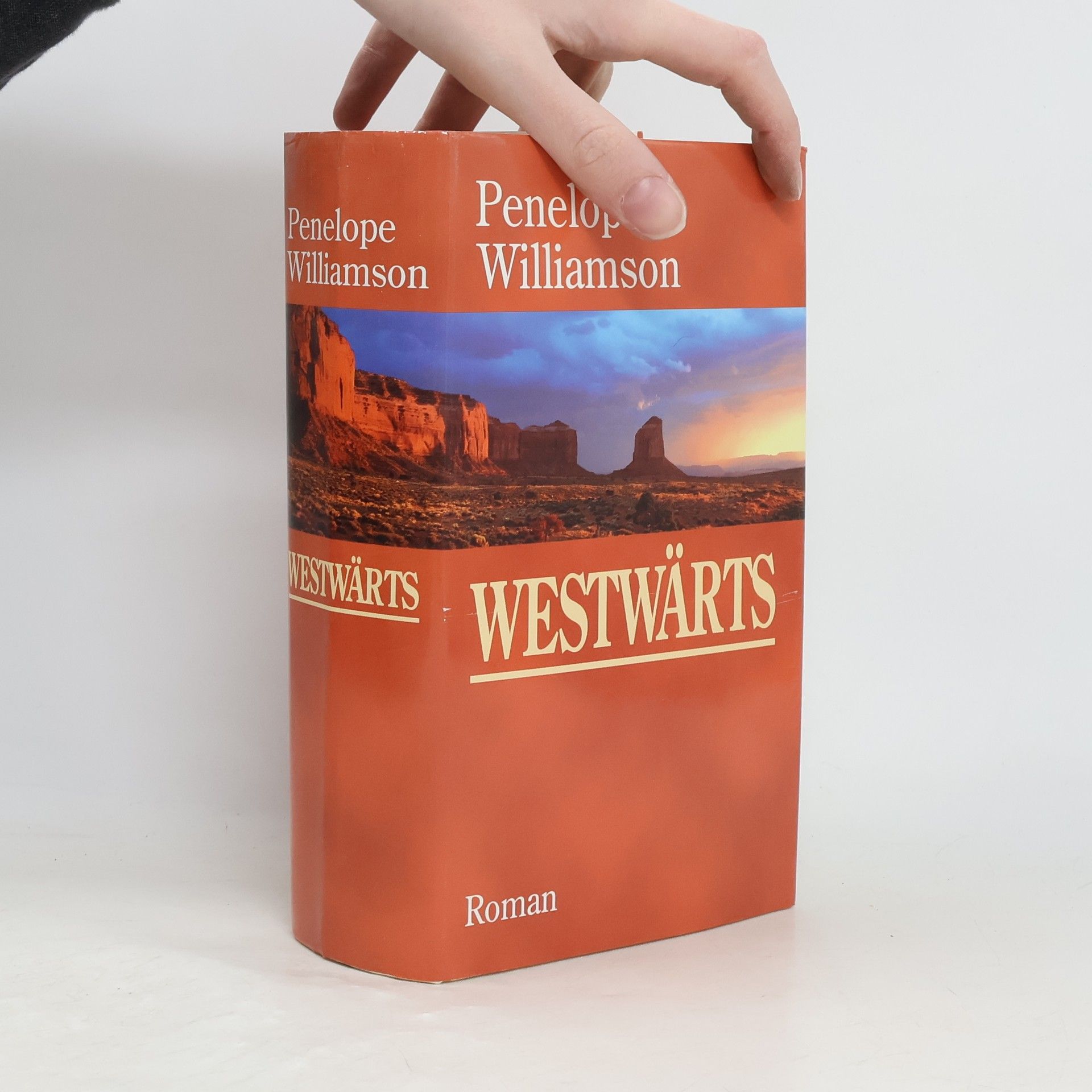 Penelope Williamson Westwärts