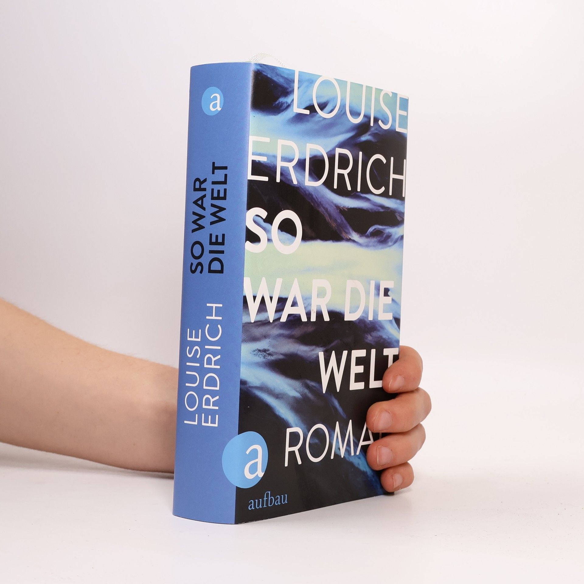 Louise Erdrich So war die Welt