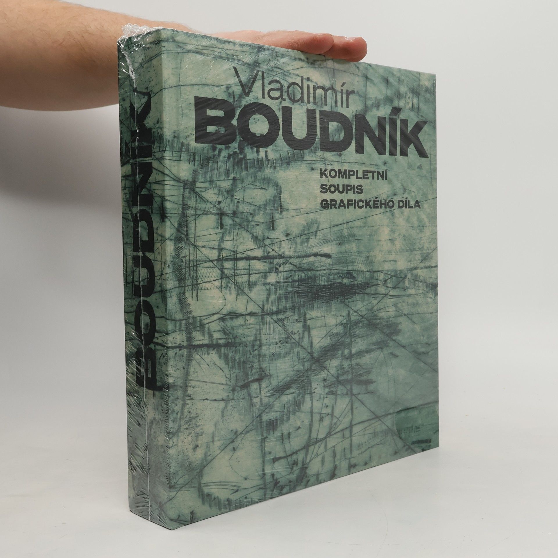 Vladislav Merhaut Vladimír Boudník: Kompletní soupis grafického díla