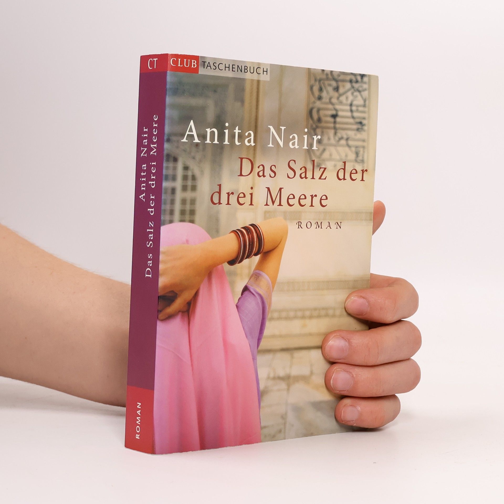 Anita Nair Das Salz der drei Meere