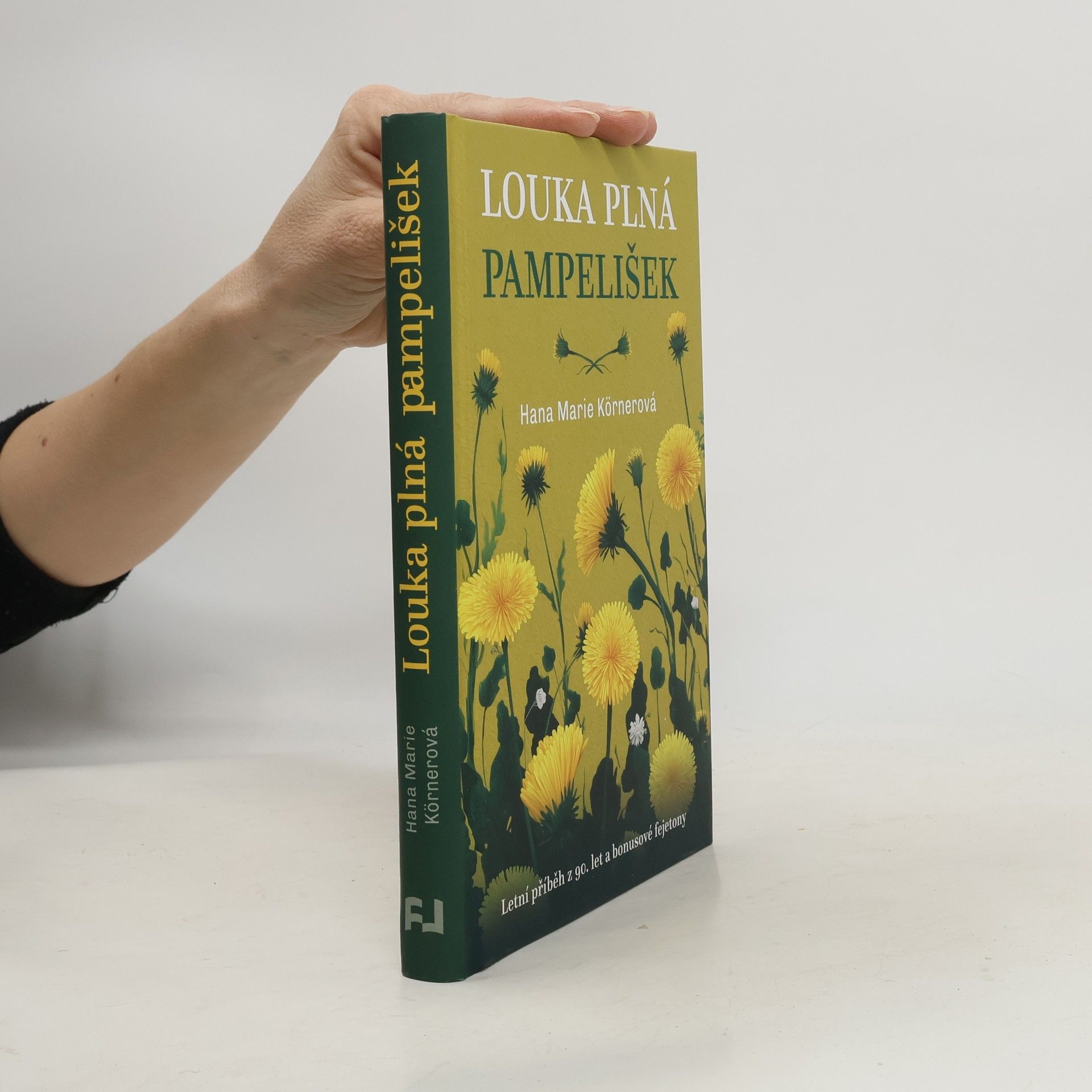 Louka plná pampelišek