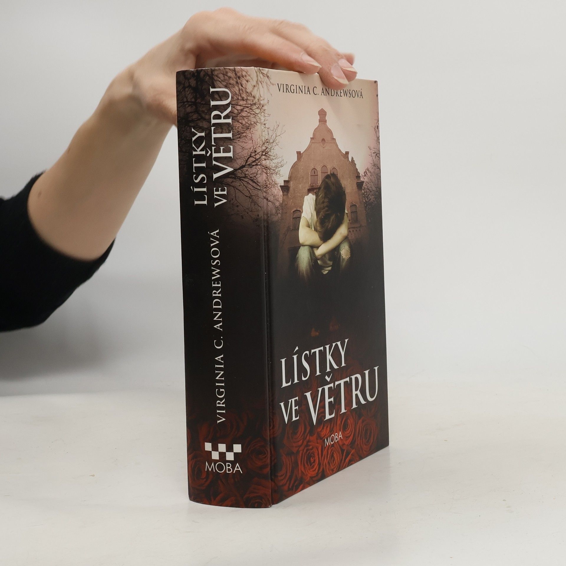 V. C. Andrews Lístky ve větru