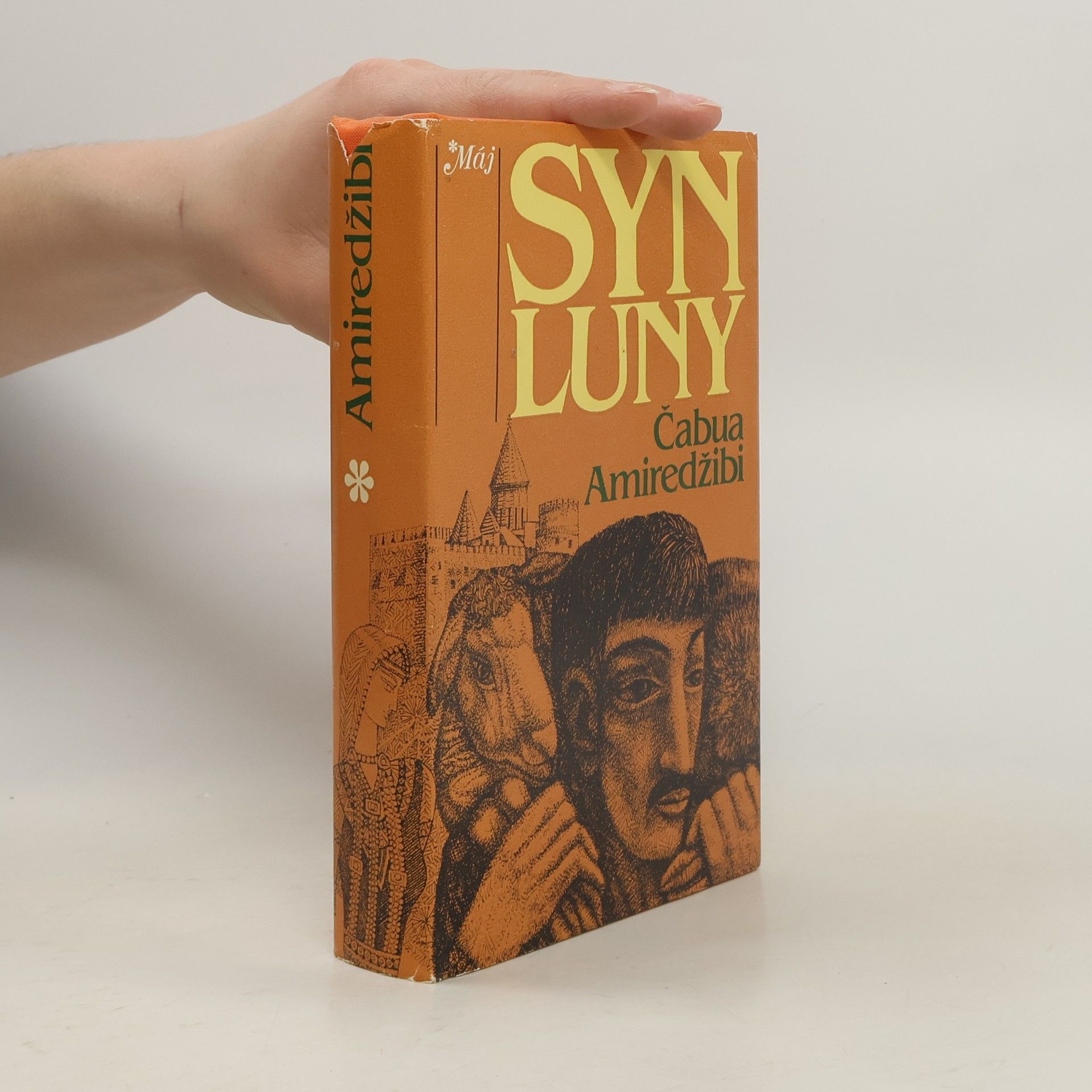 Čabua Amireǧibi Syn Luny