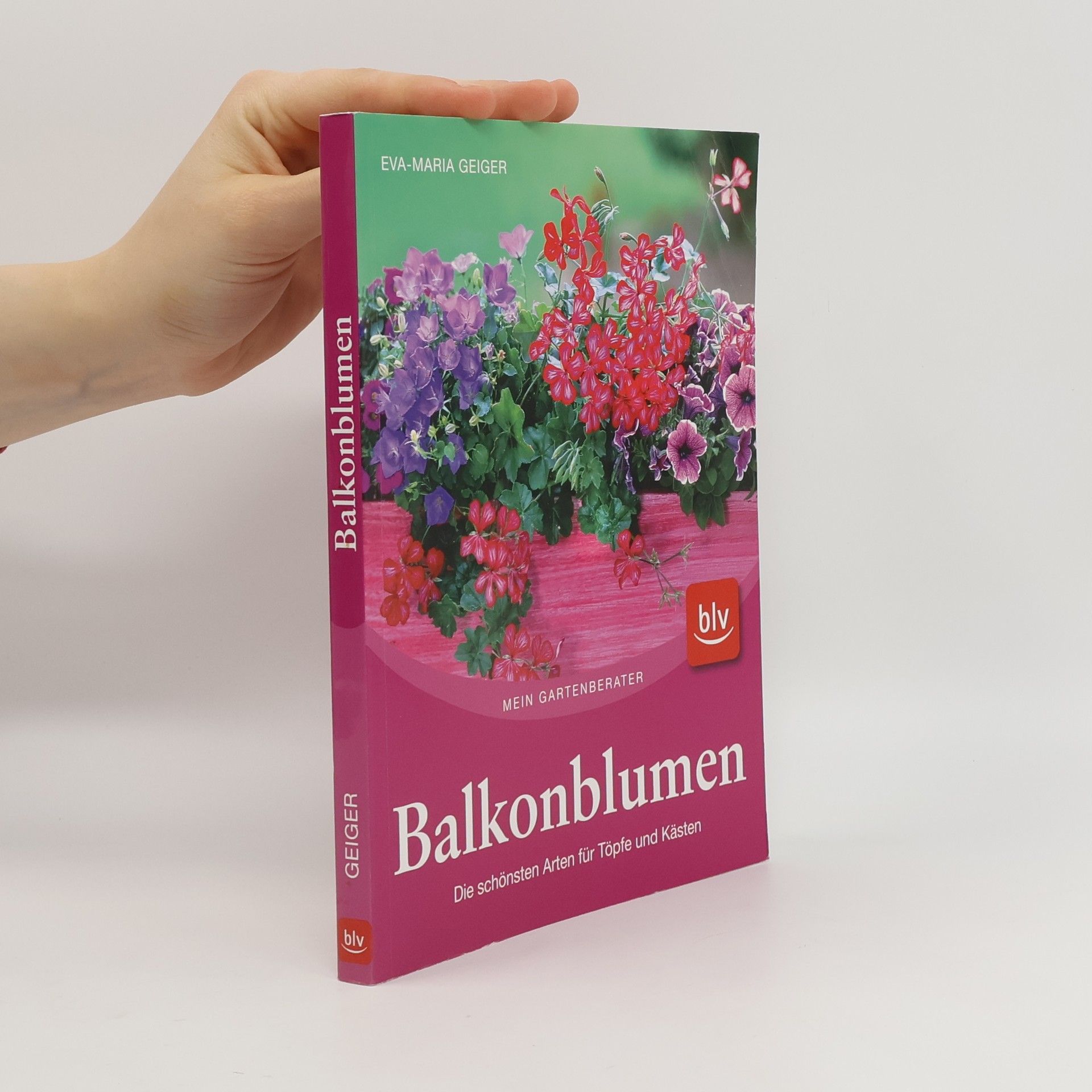 Eva Maria Geiger Balkonblumen