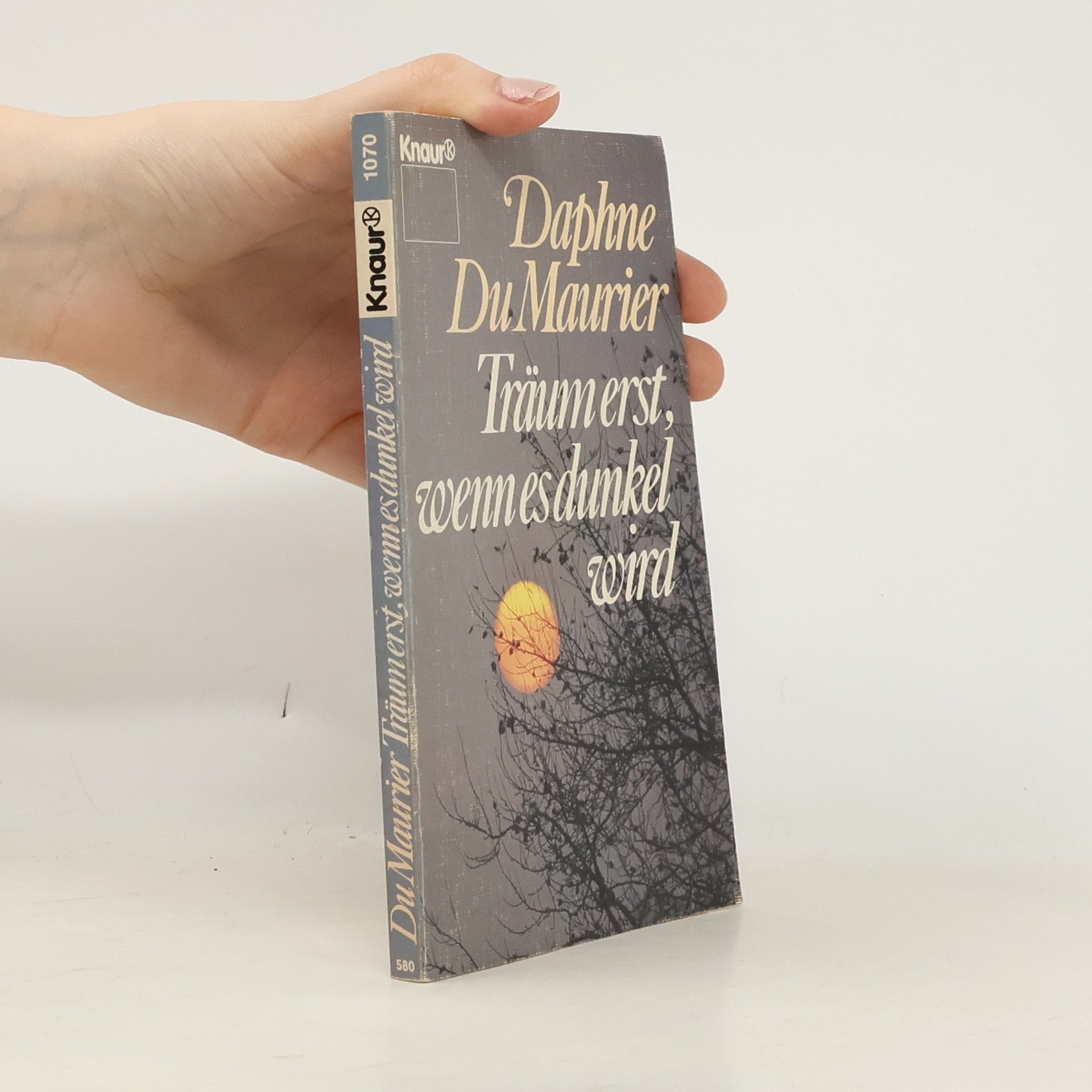 Daphne du Maurier Träum erst, wenn es dunkel wird