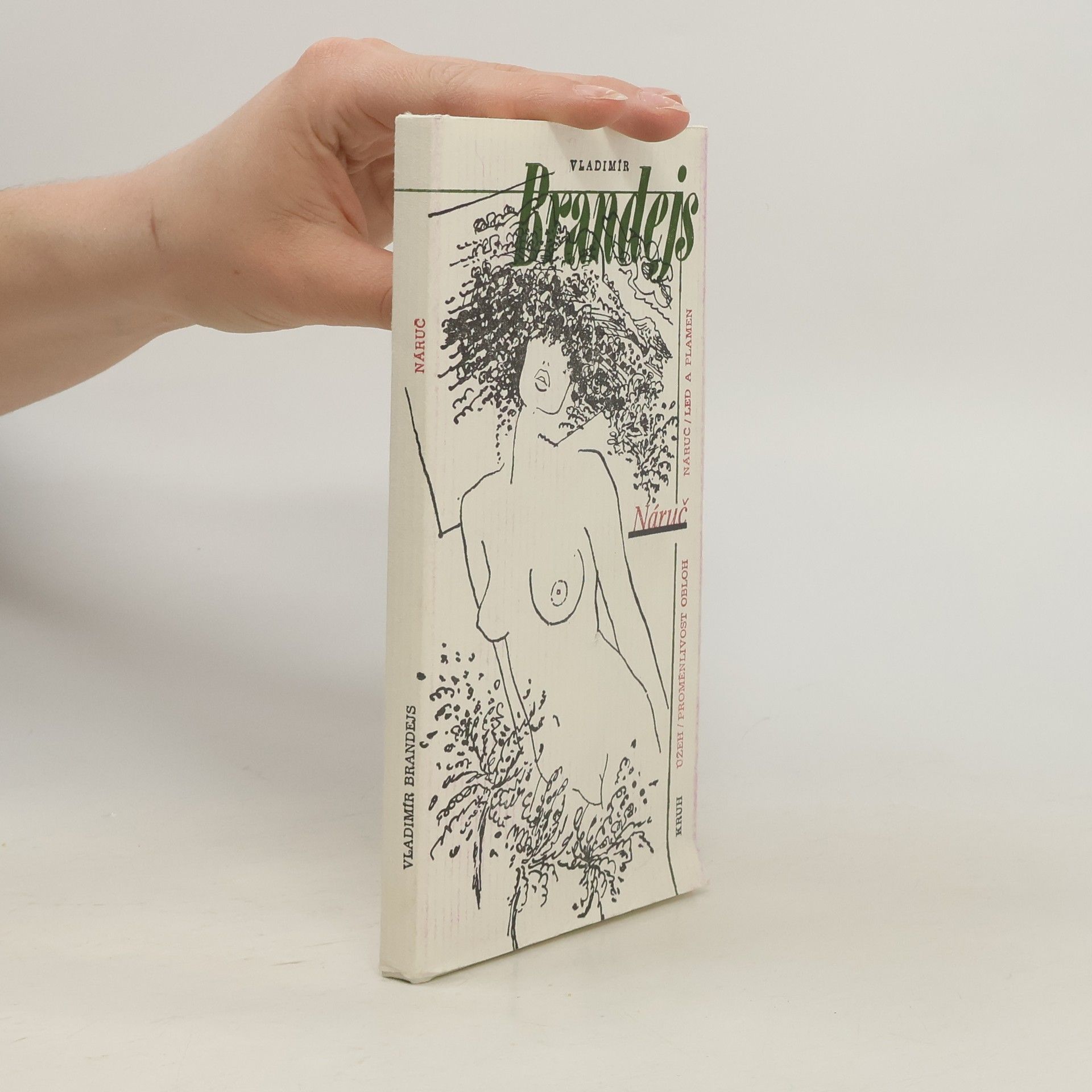 Vladimír Brandejs Náruč