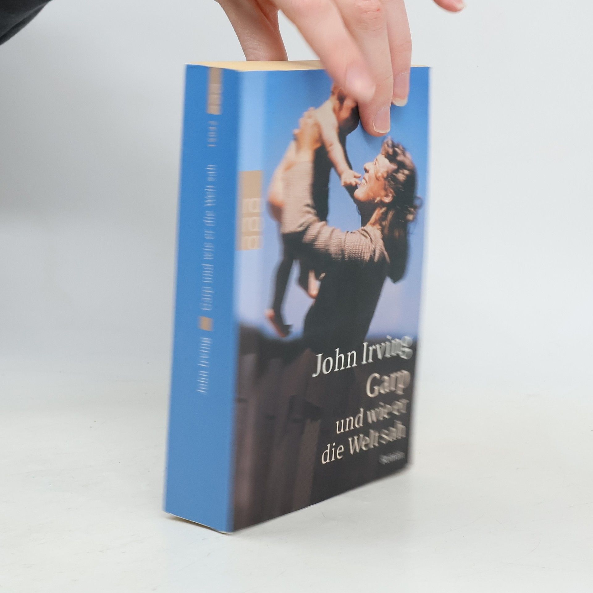 John Irving Garp und wie er die Welt sah : Roman