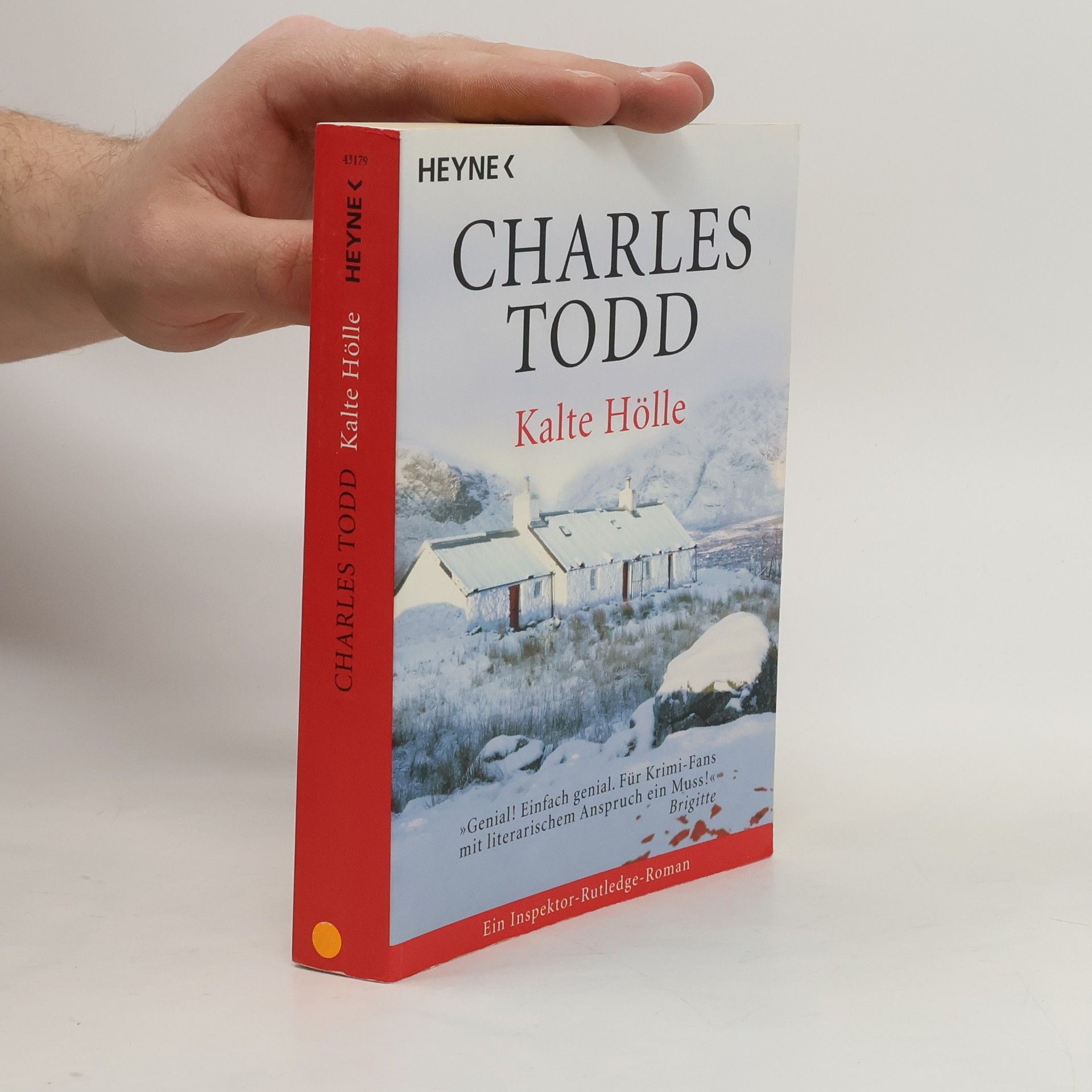 Charles Todd Kalte Hölle