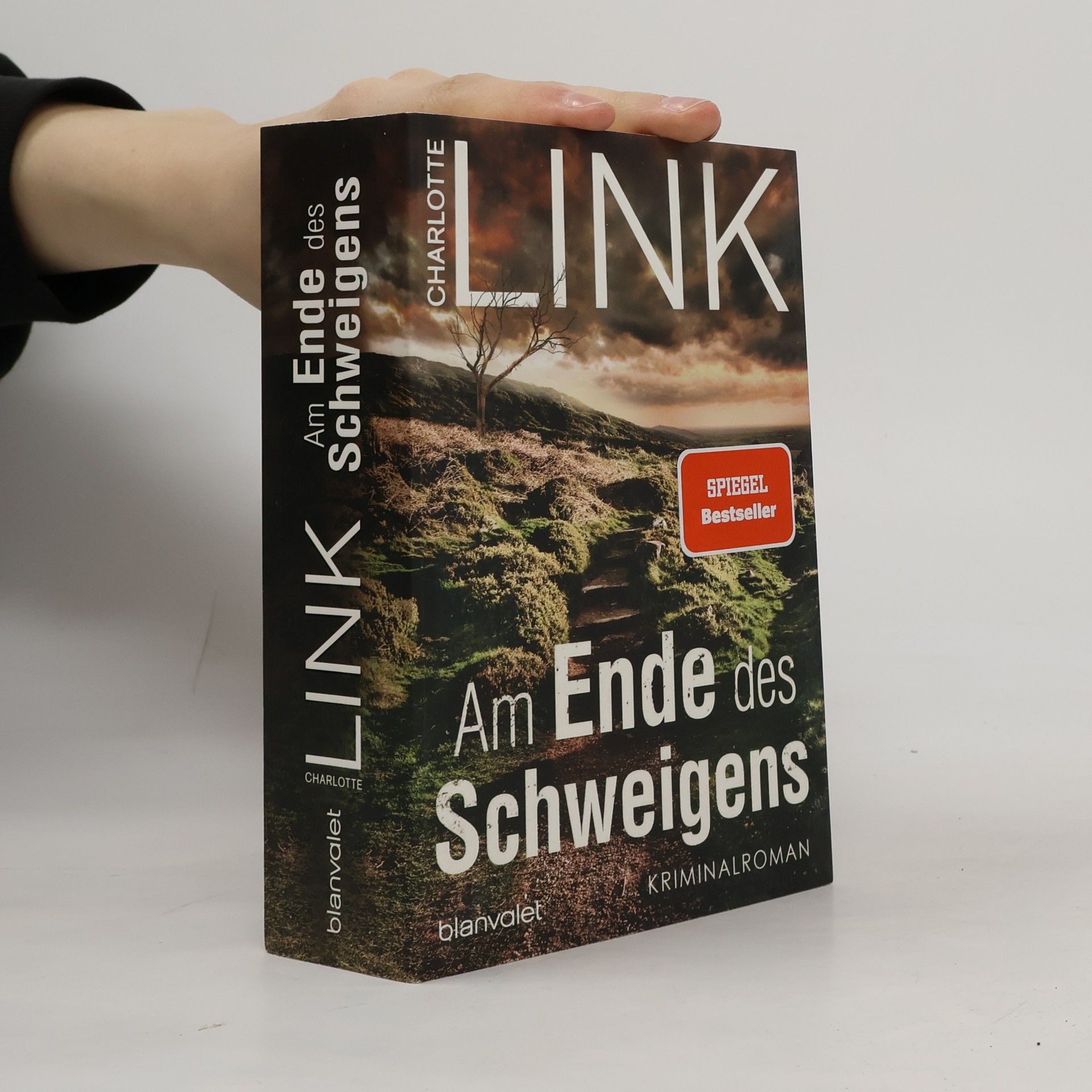 Charlotte Link Am Ende des Schweigens