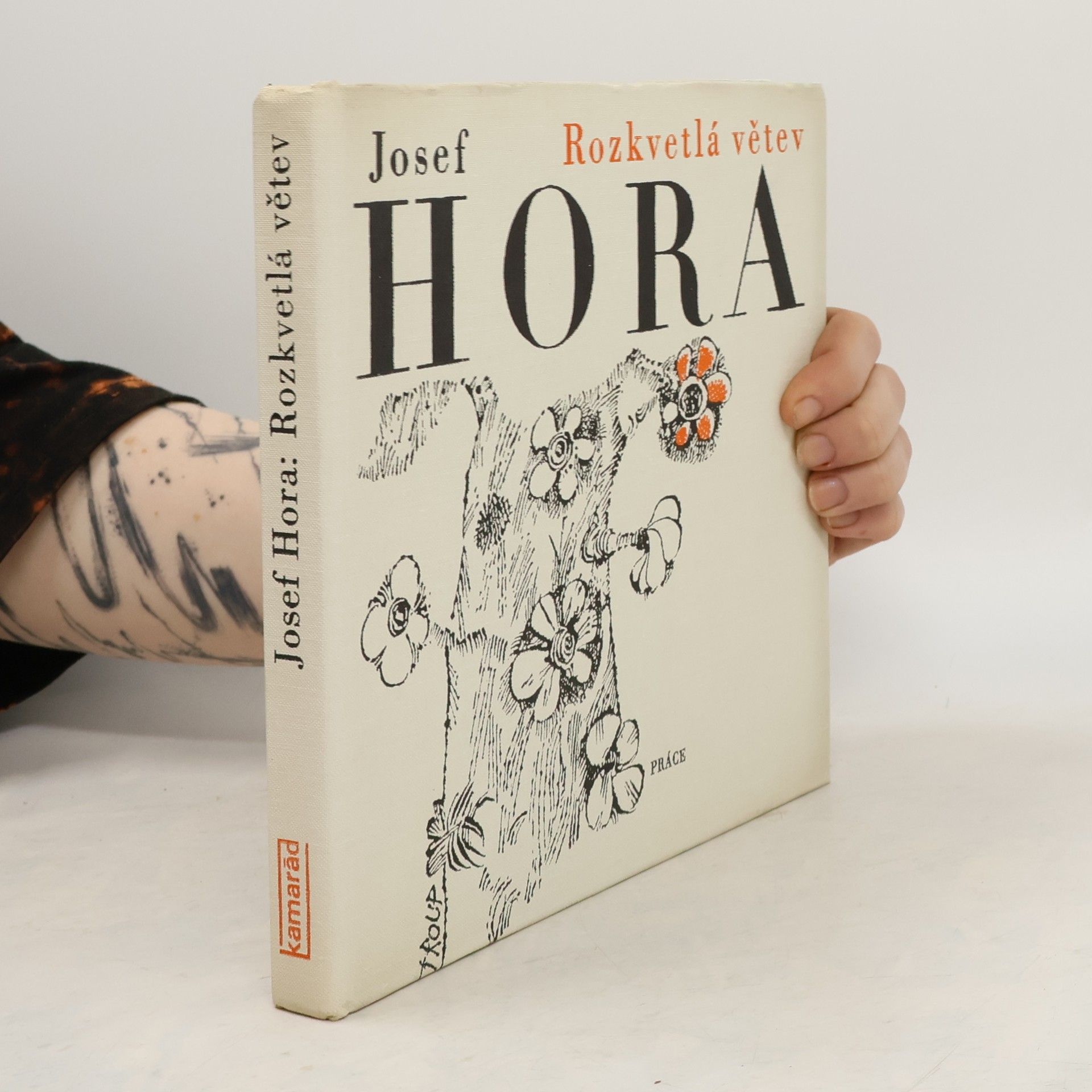 Josef Hora Rozkvetlá větev