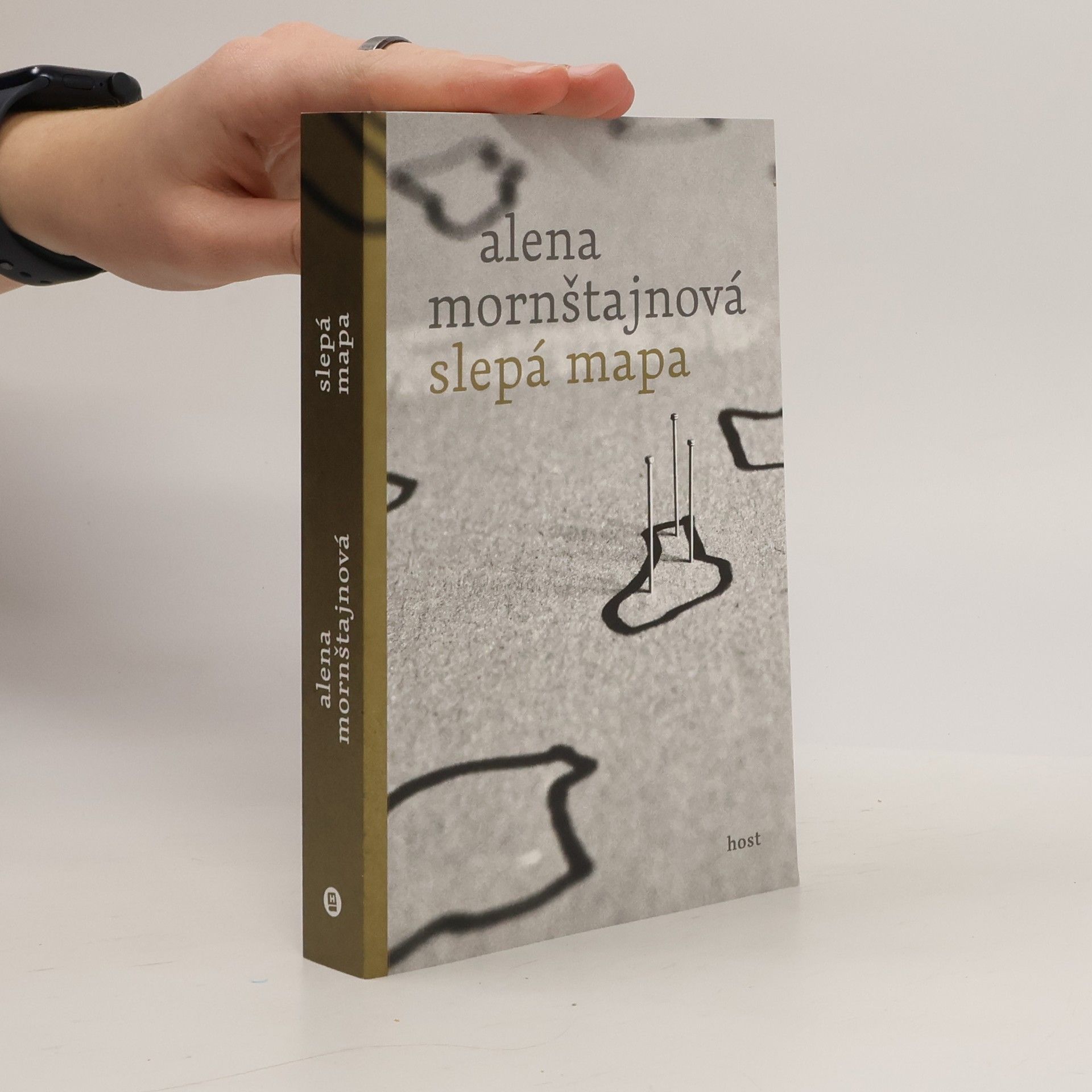 Alena Mornštajnová Slepá mapa