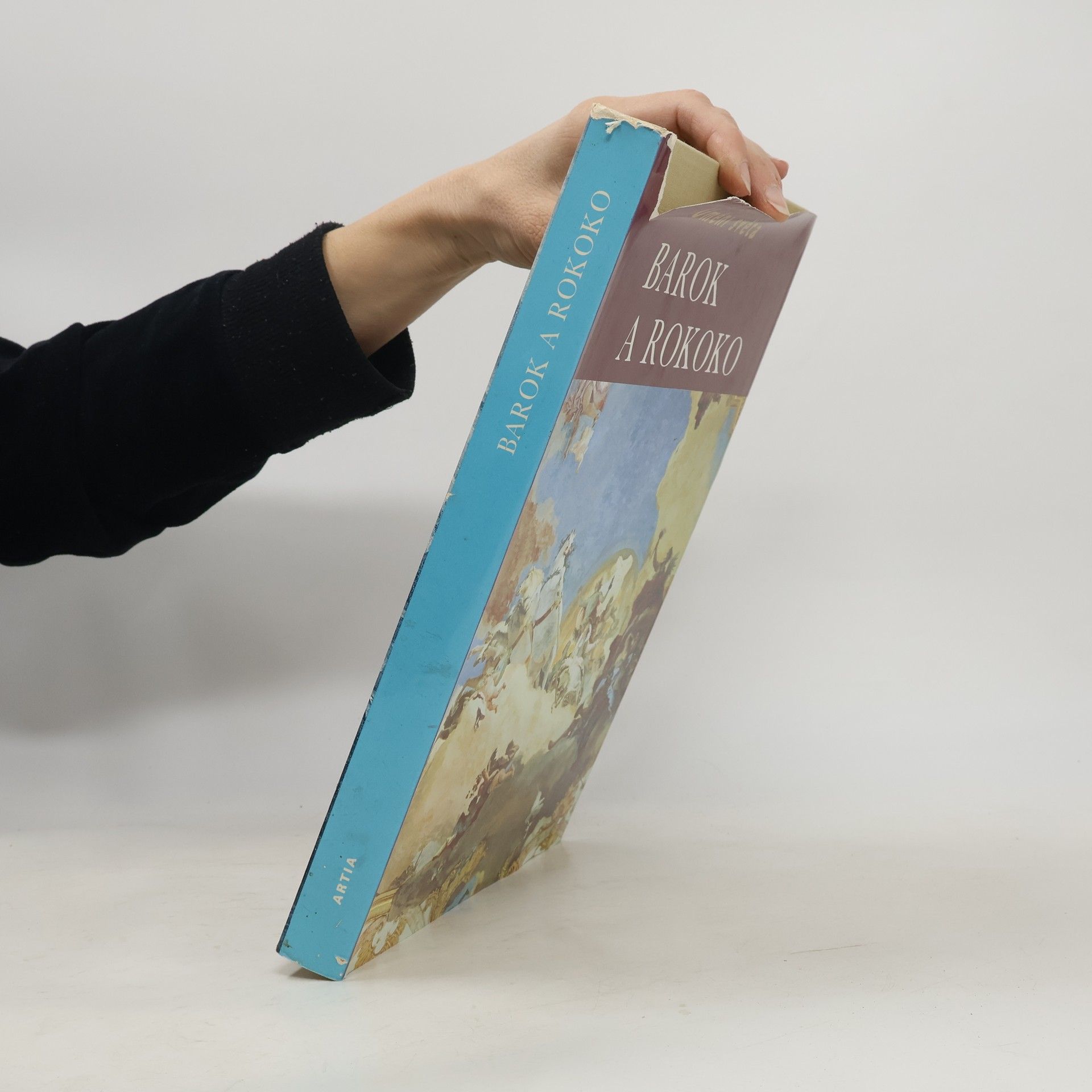 Michael Kitson Barok a rokoko