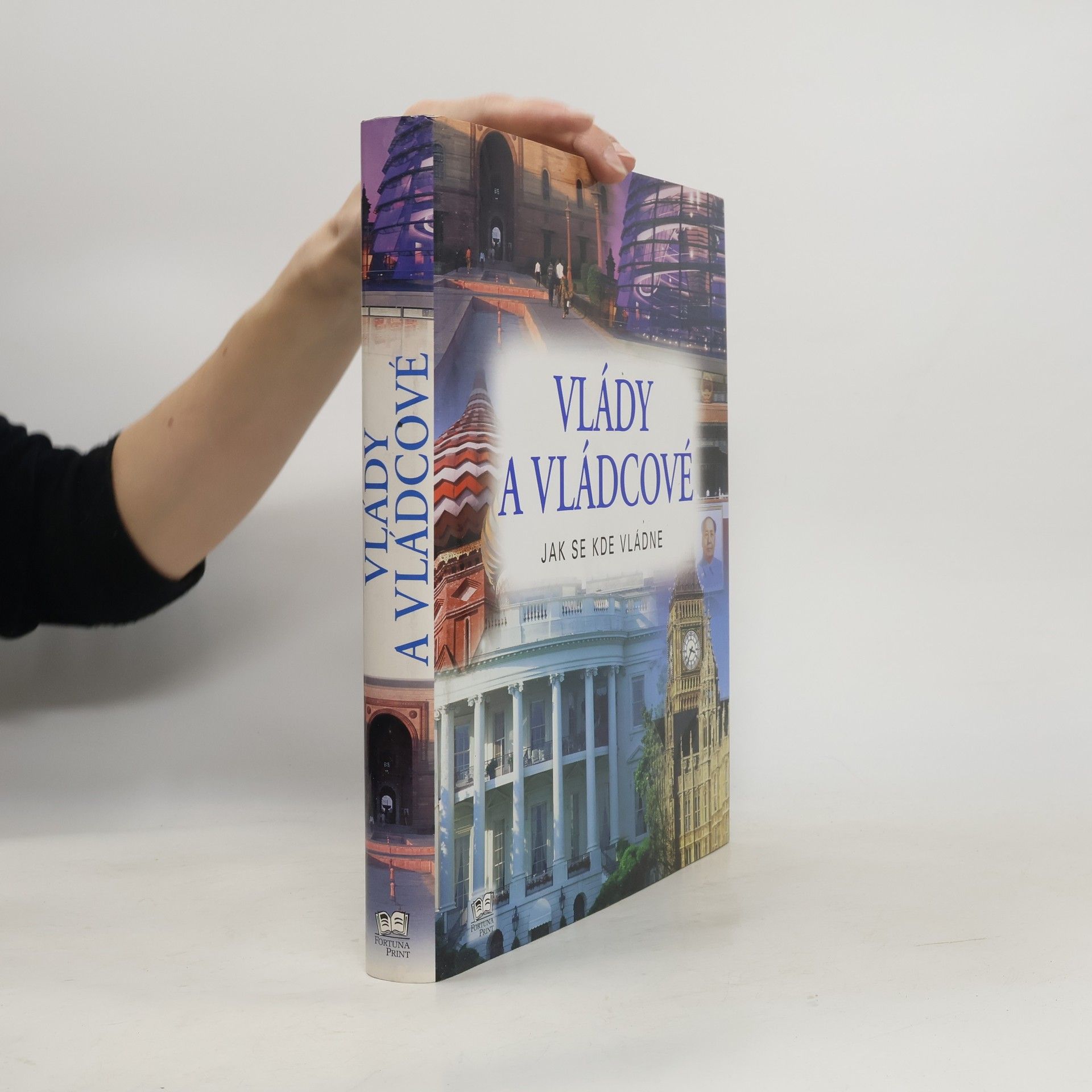 Autorenkollektiv Vlády a vládcové. Jak se kde vládne