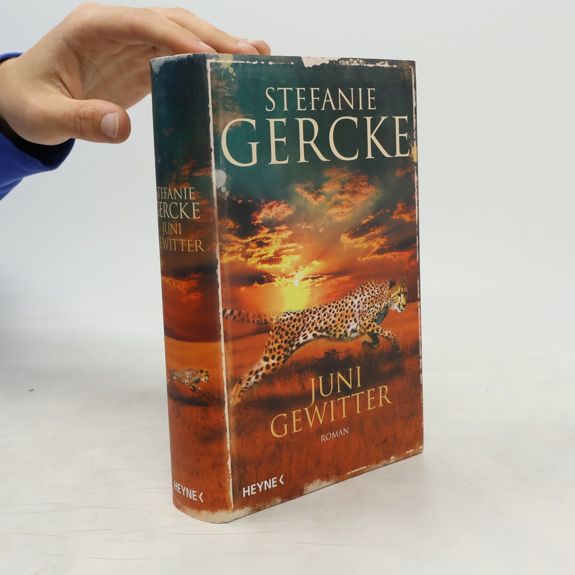 Stefanie Gercke Junigewitter