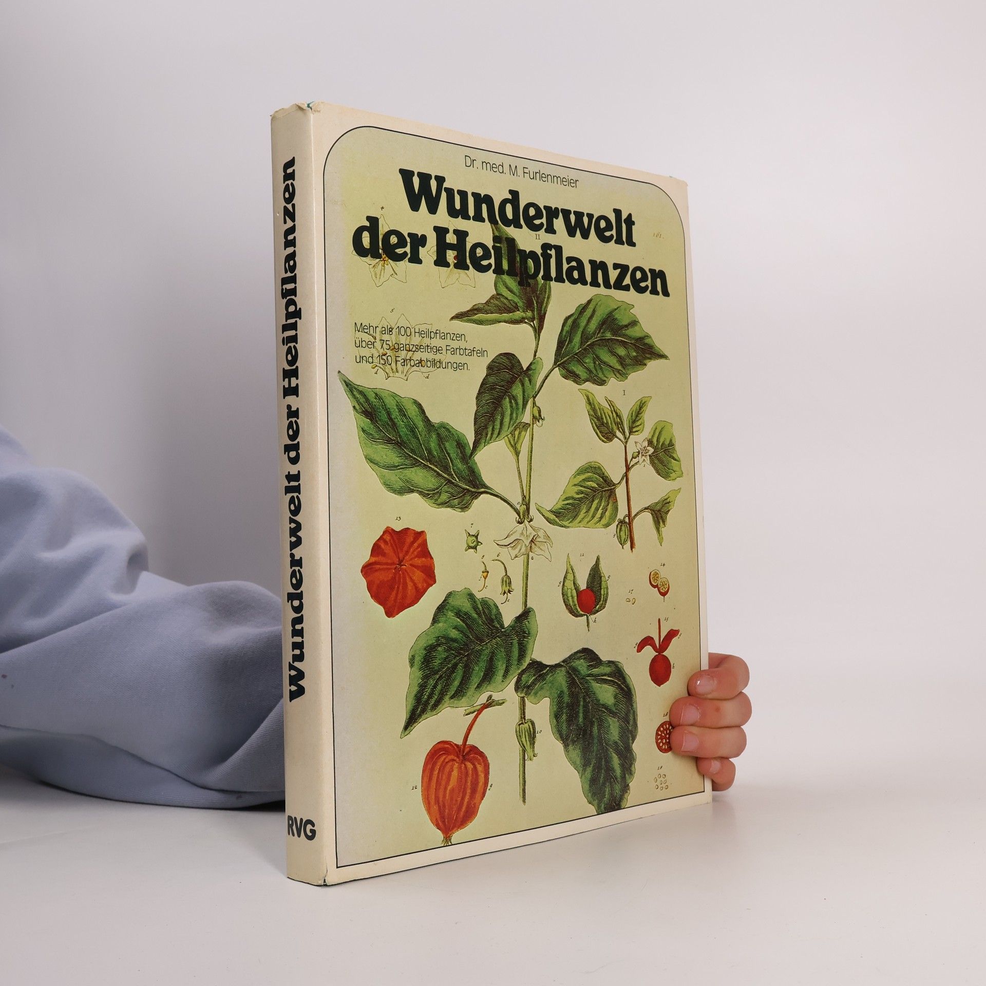 Martin Furlenmeier Wunderwelt der Heilpflanzen