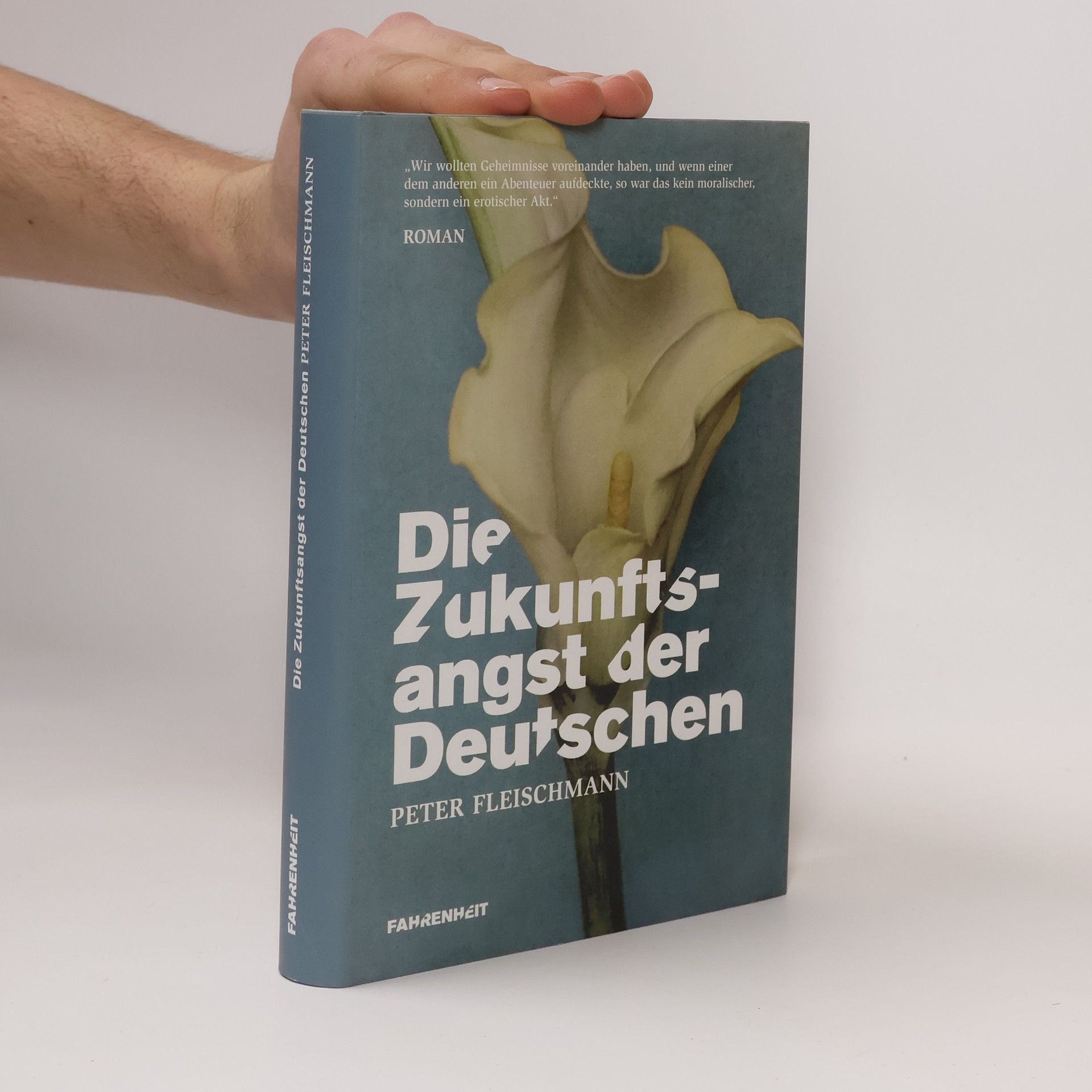 Peter Fleischmann Die Zukunftsangst der Deutschen. Roman