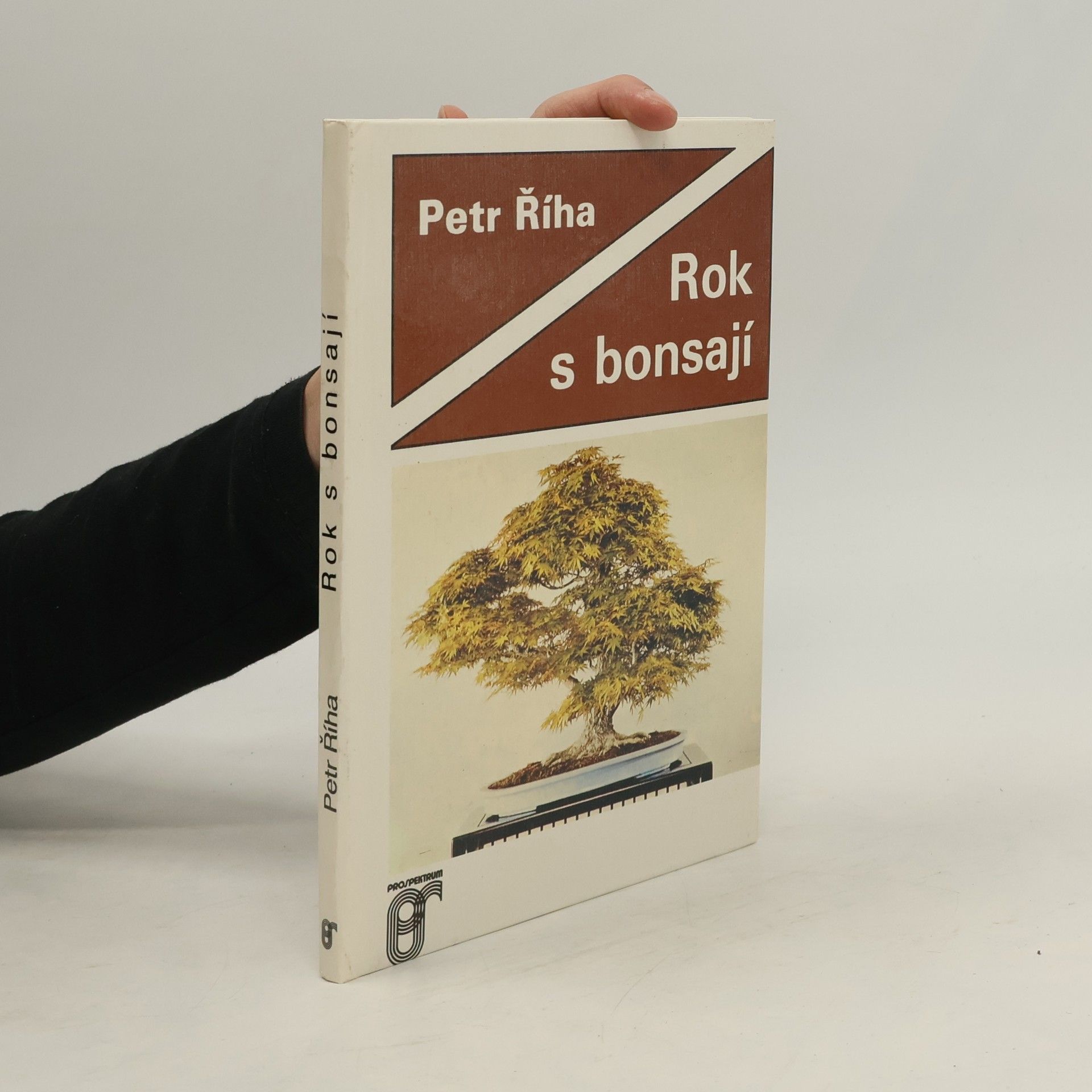 Petr Říha Rok s bonsají