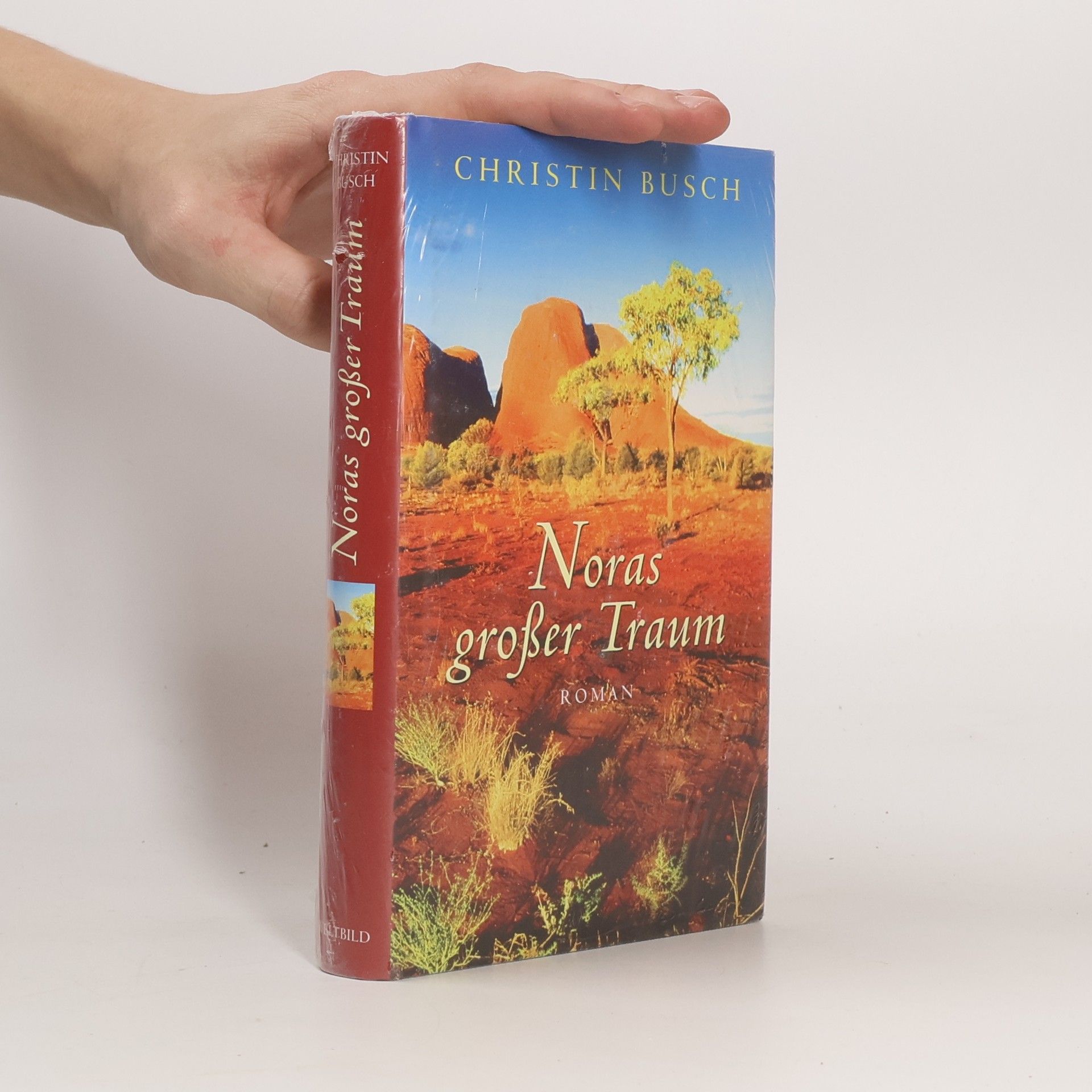 Christin Busch Noras großer Traum