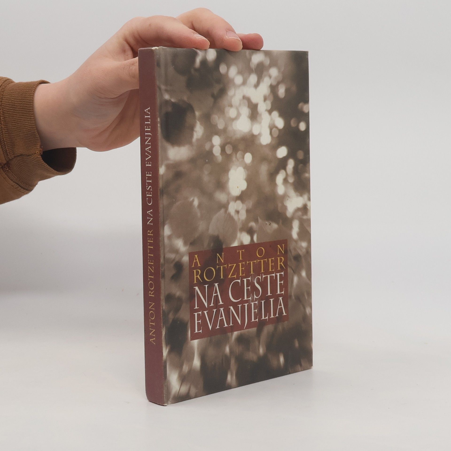 Anton Rotzetter Na ceste evanjelia