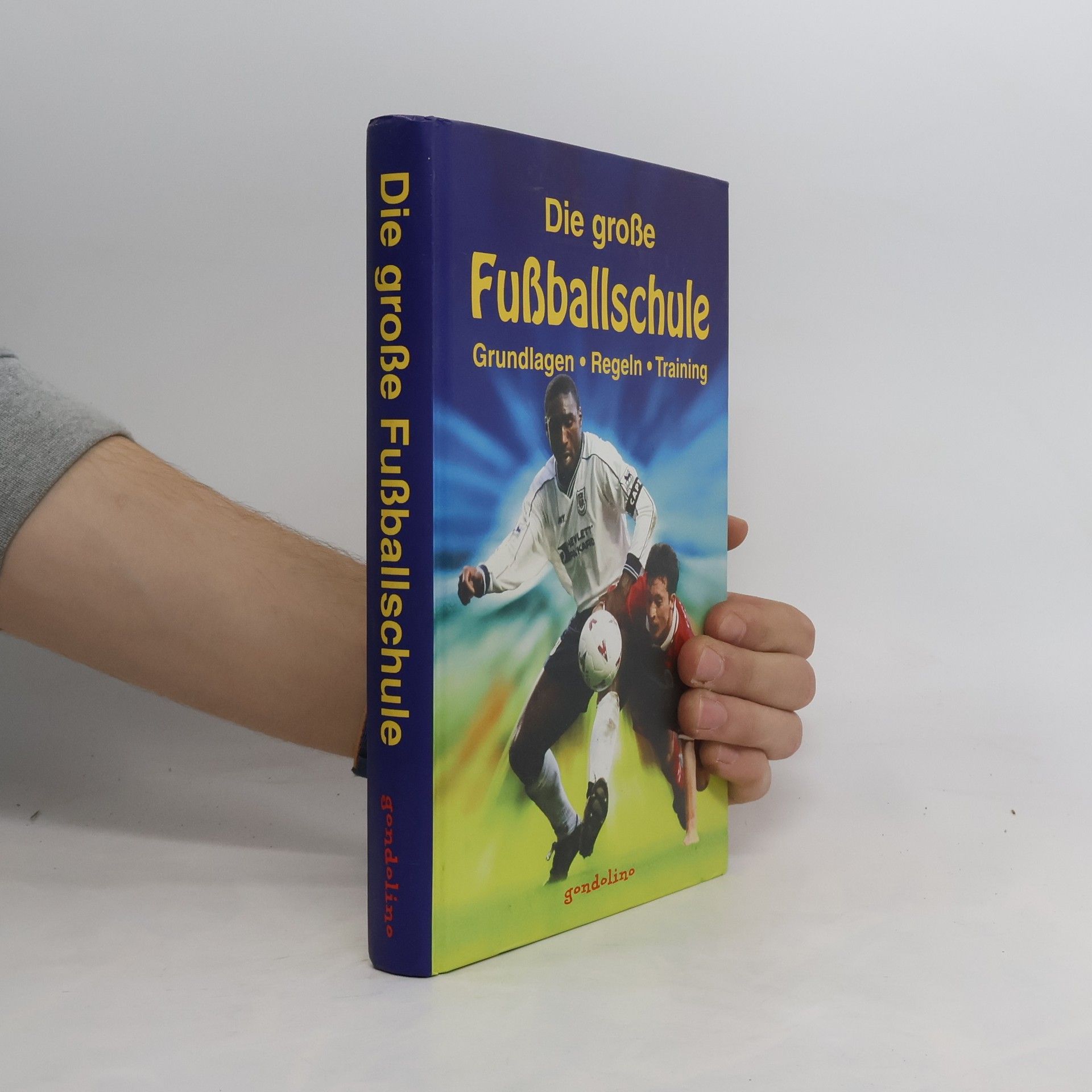 Lauren Brooke Die große Fußballschule