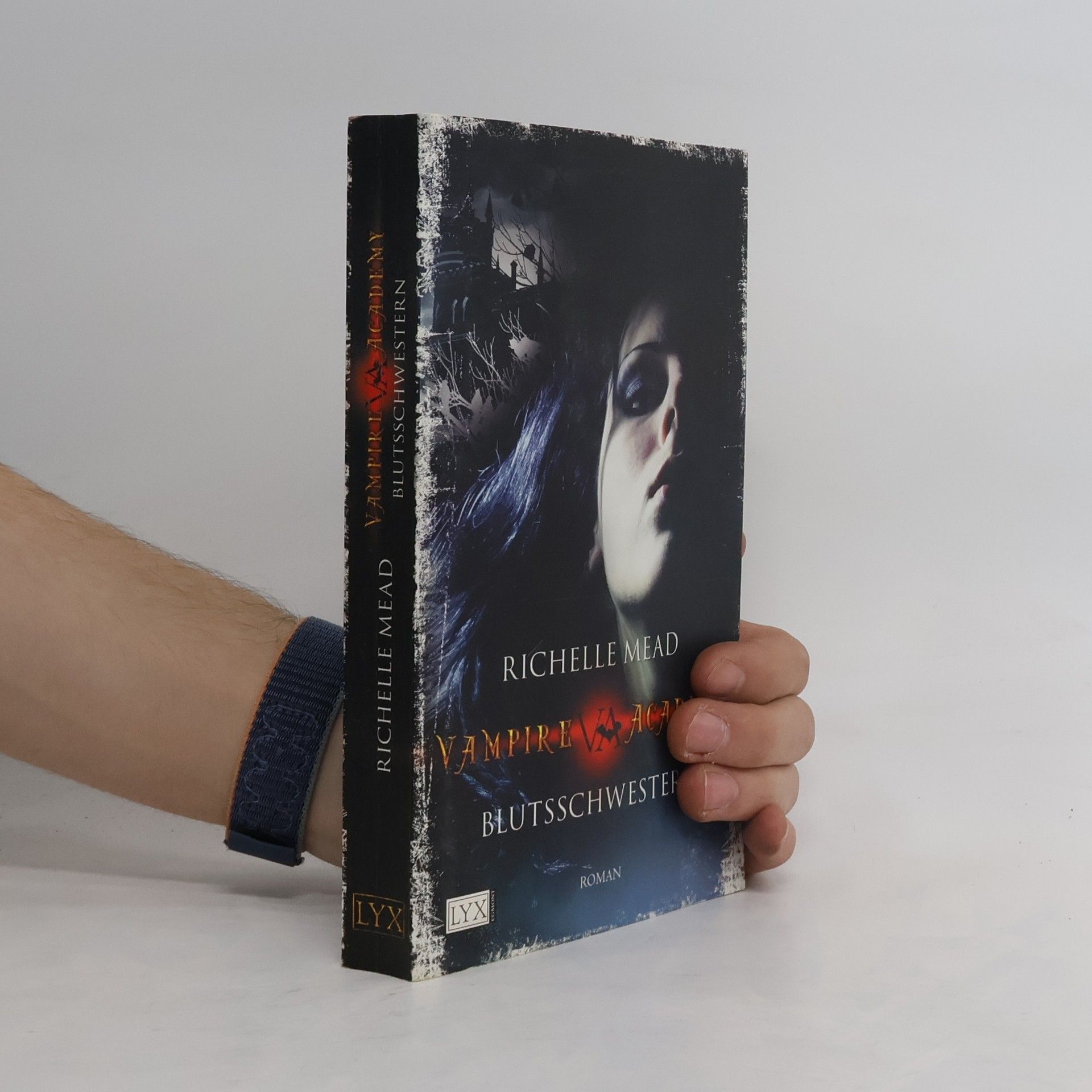 Richelle Mead Vampire Academy