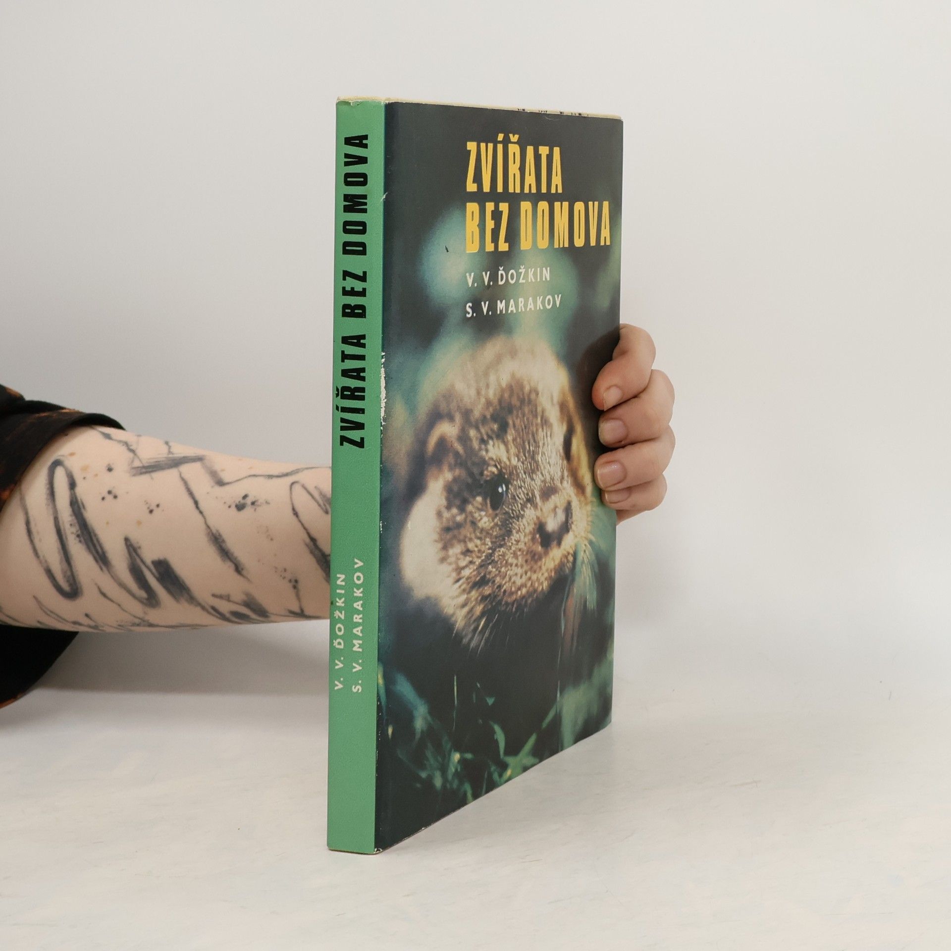 Vadim Vasiljevič Dežkin Zvířata bez domova