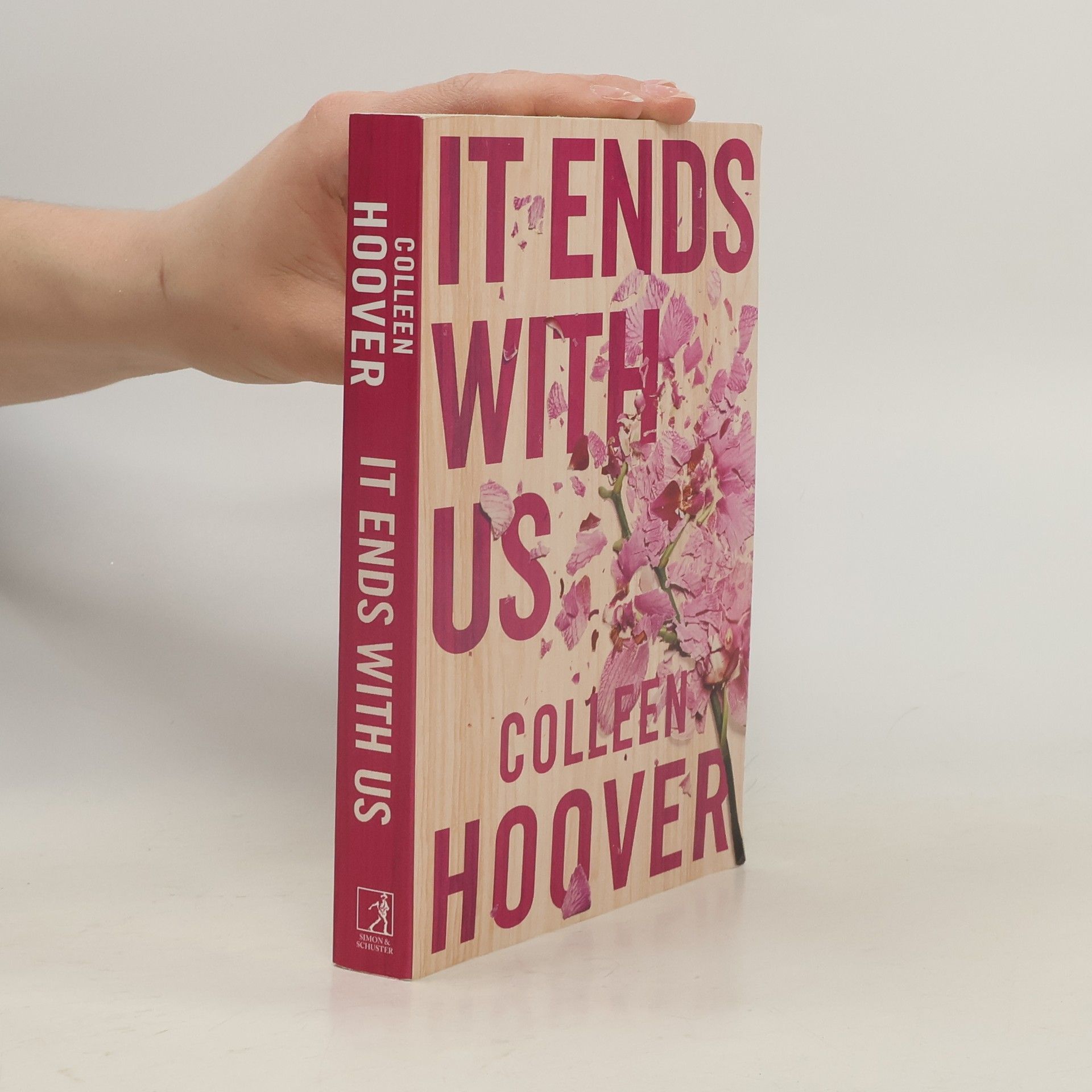 Colleen Hoover It Ends With Us