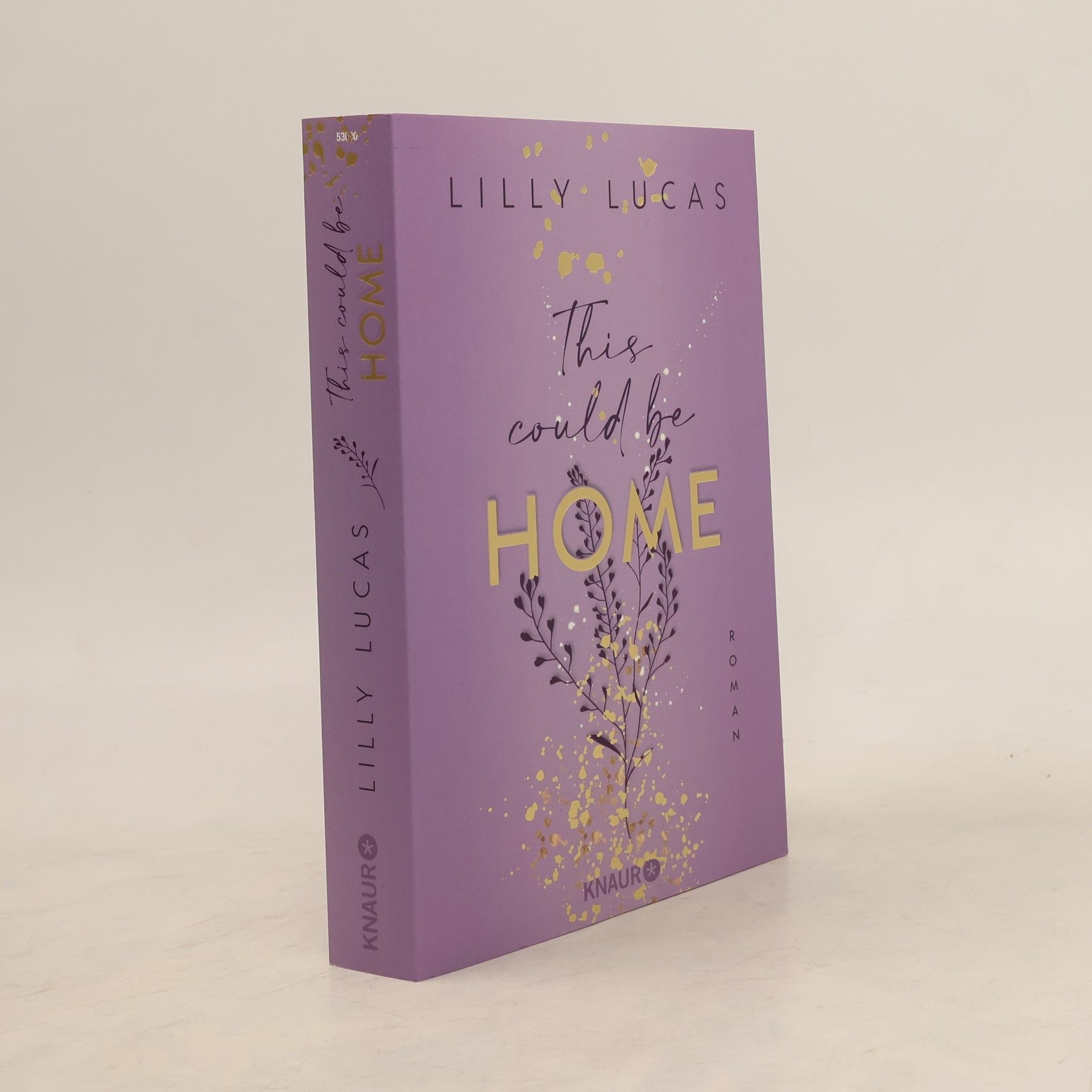 Lilly Lucas This could be home / Hawaii Love Bd.2