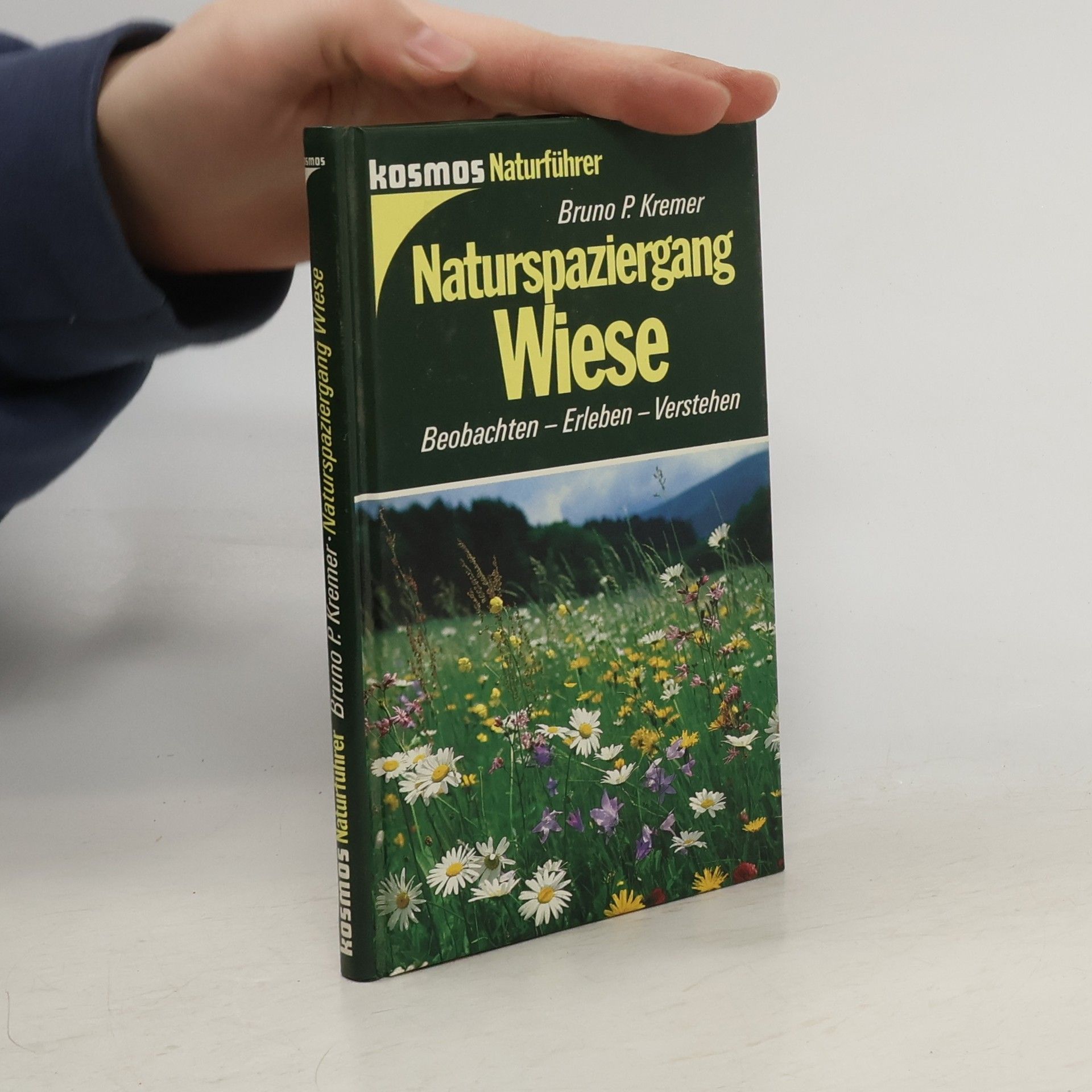 Bruno Kremer Naturspaziergang Wiese: Beobachten - Erleben - Verstehen