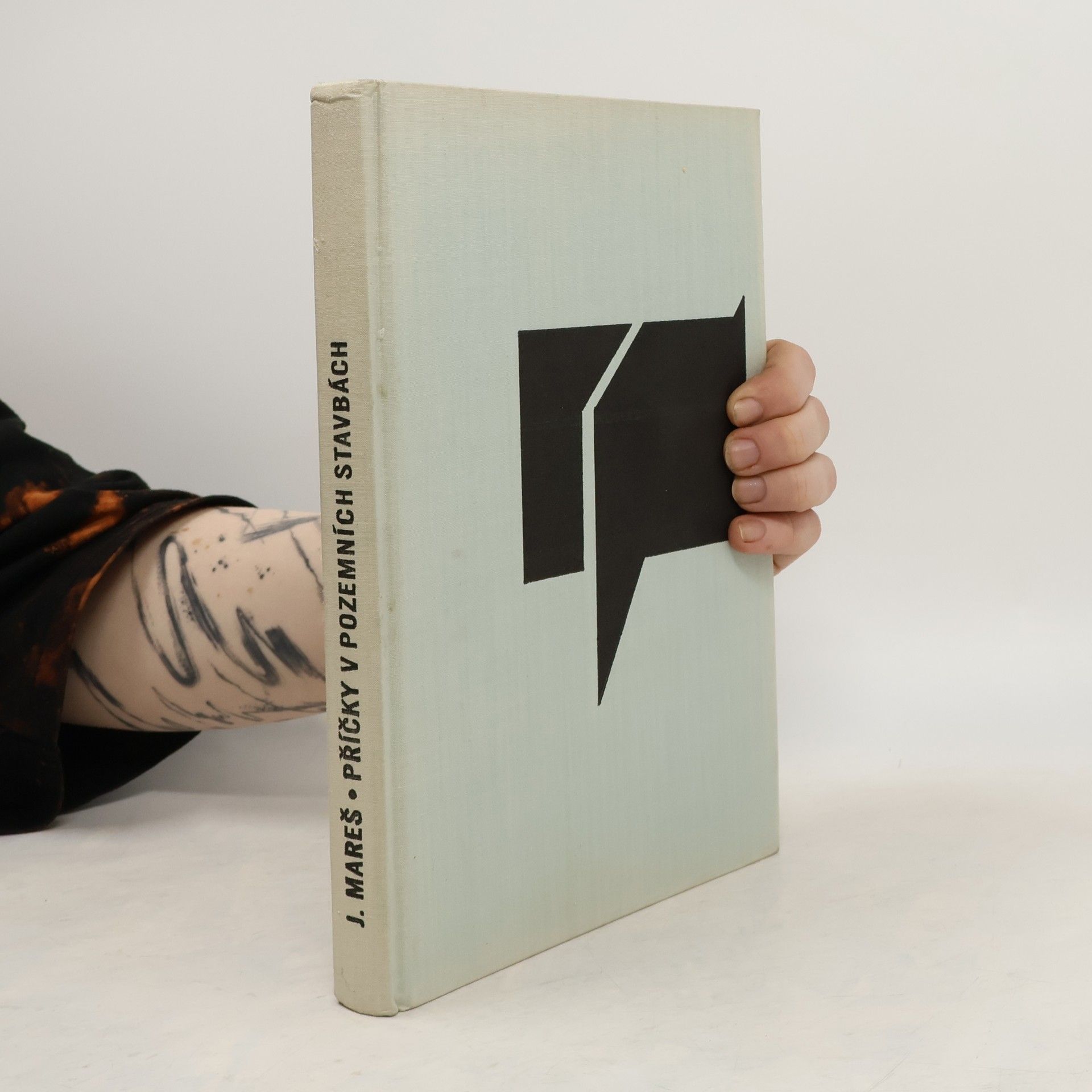 Jaroslav V. Mareš Příčky v pozemních stavbách