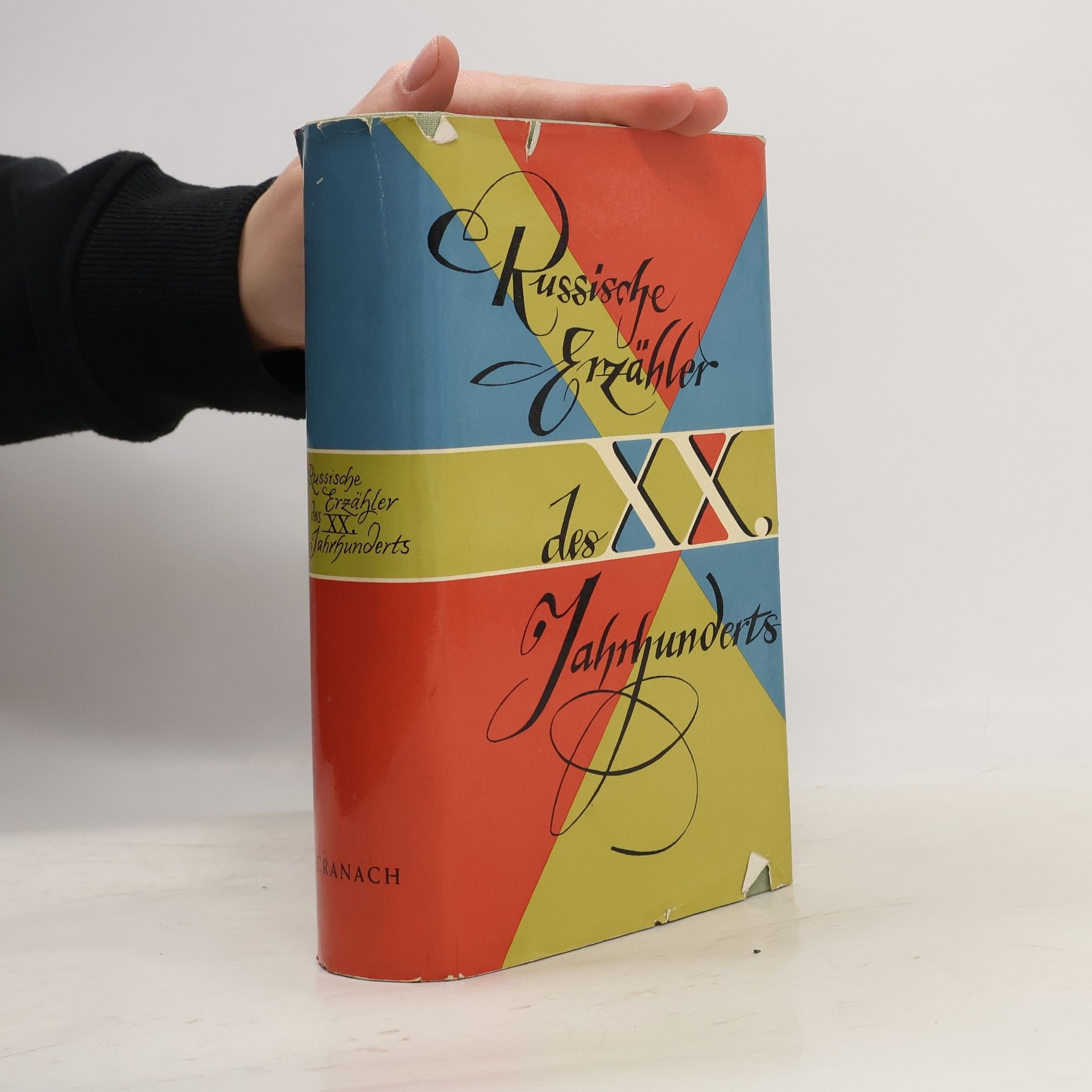 Autorenkollektiv Russische Erzähler des XX. Jahrhunderts