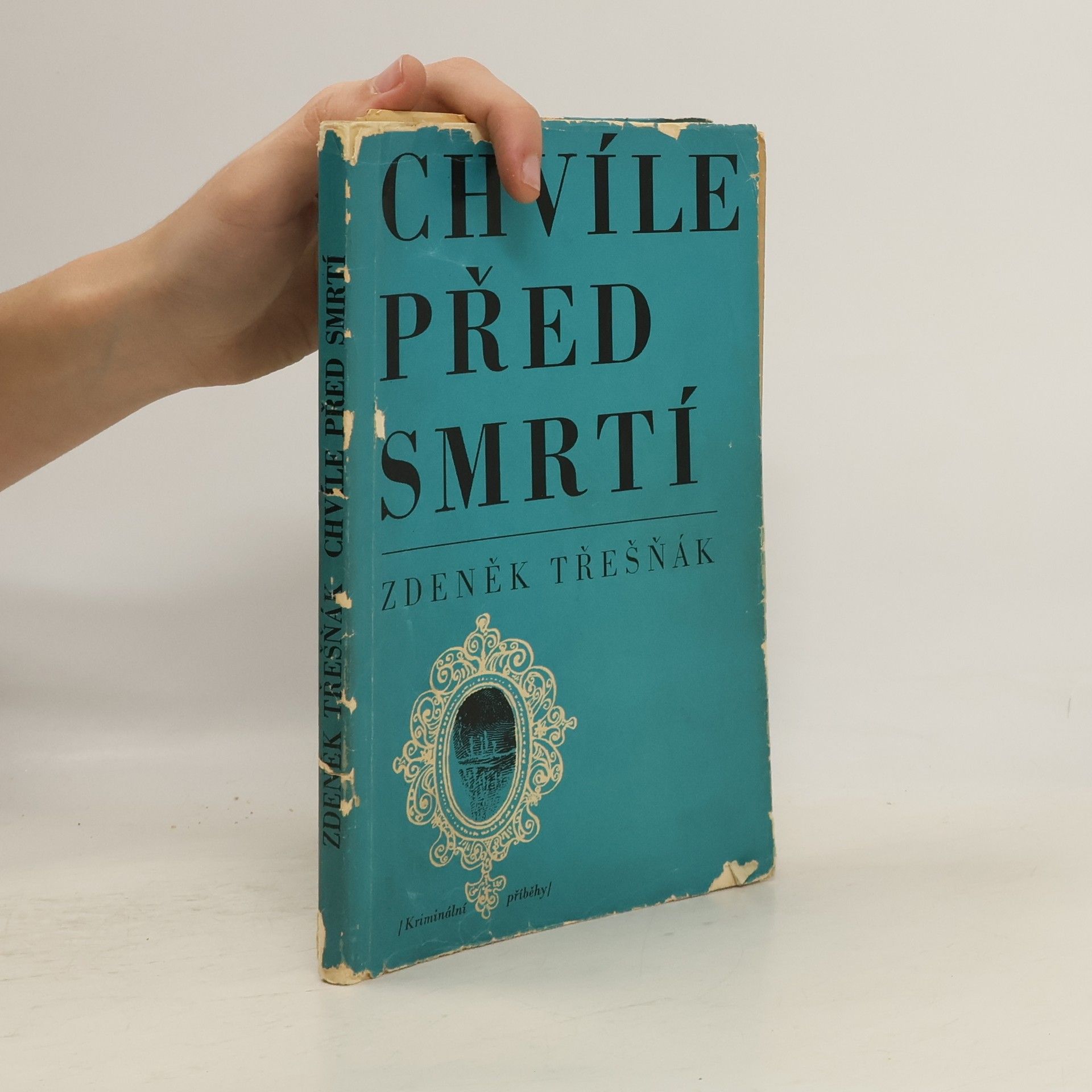Zdeněk Třešňák Chvíle před smrtí