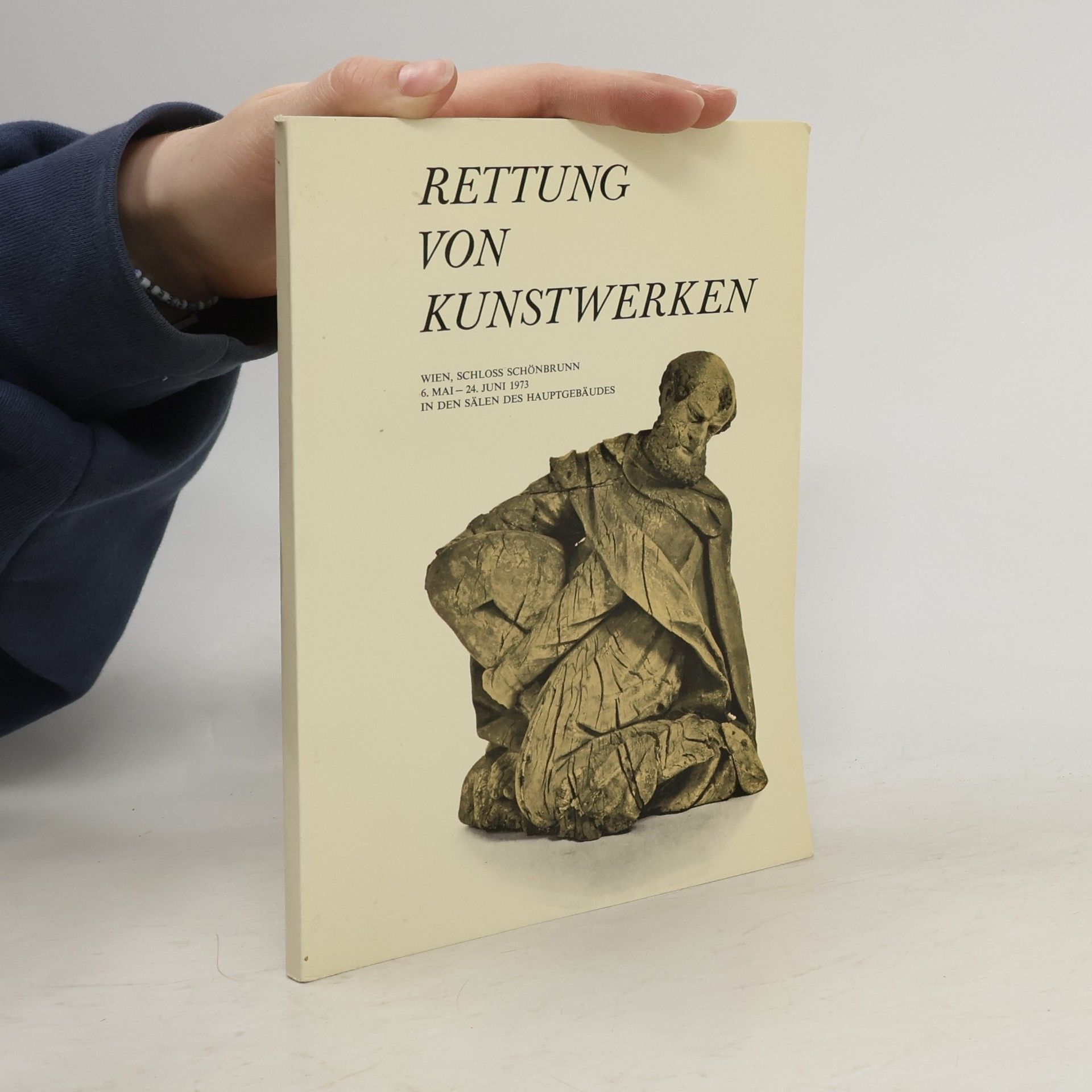 Autorenkollektiv Rettung von Kunstwerken